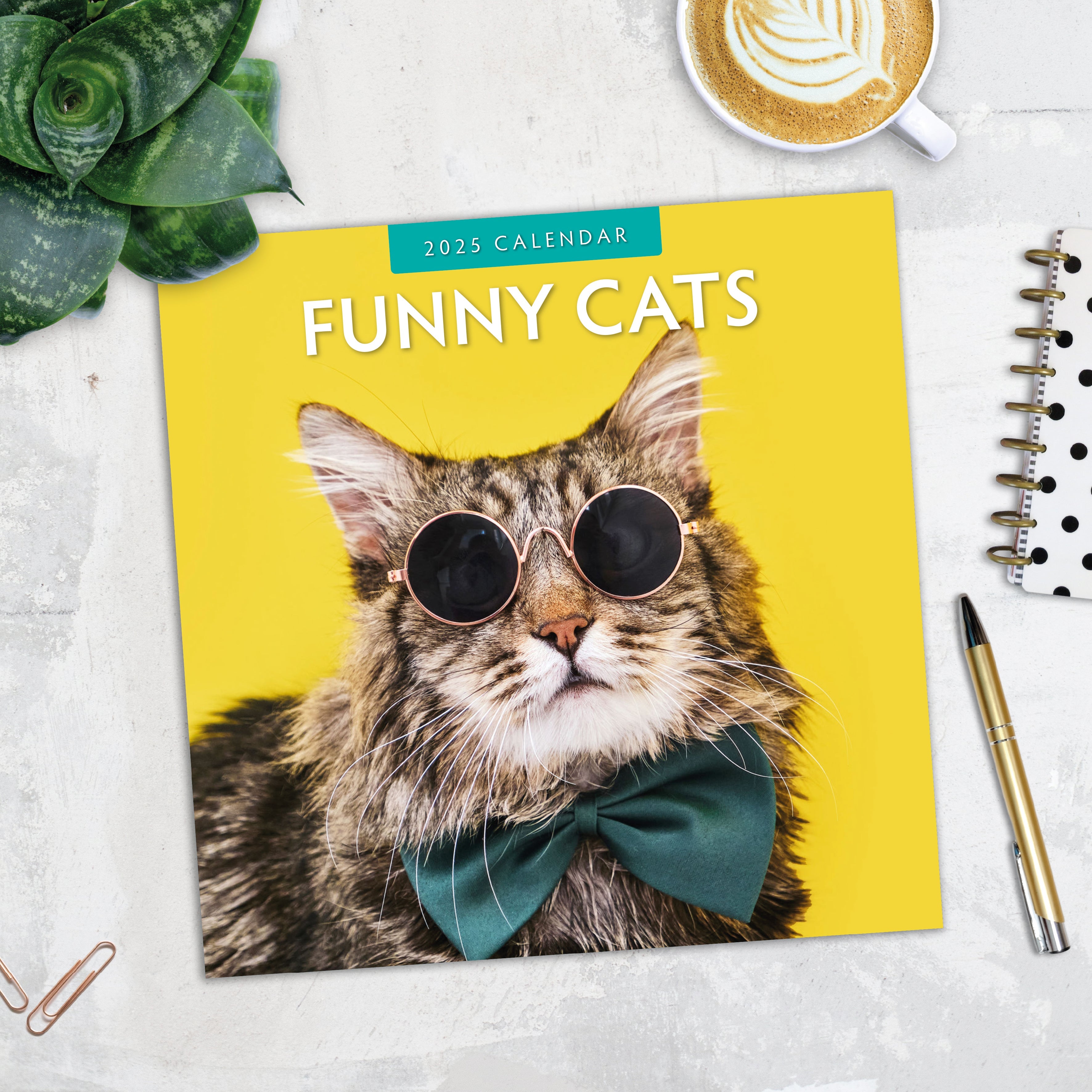 2025 Funny Cats - Square Wall Calendar