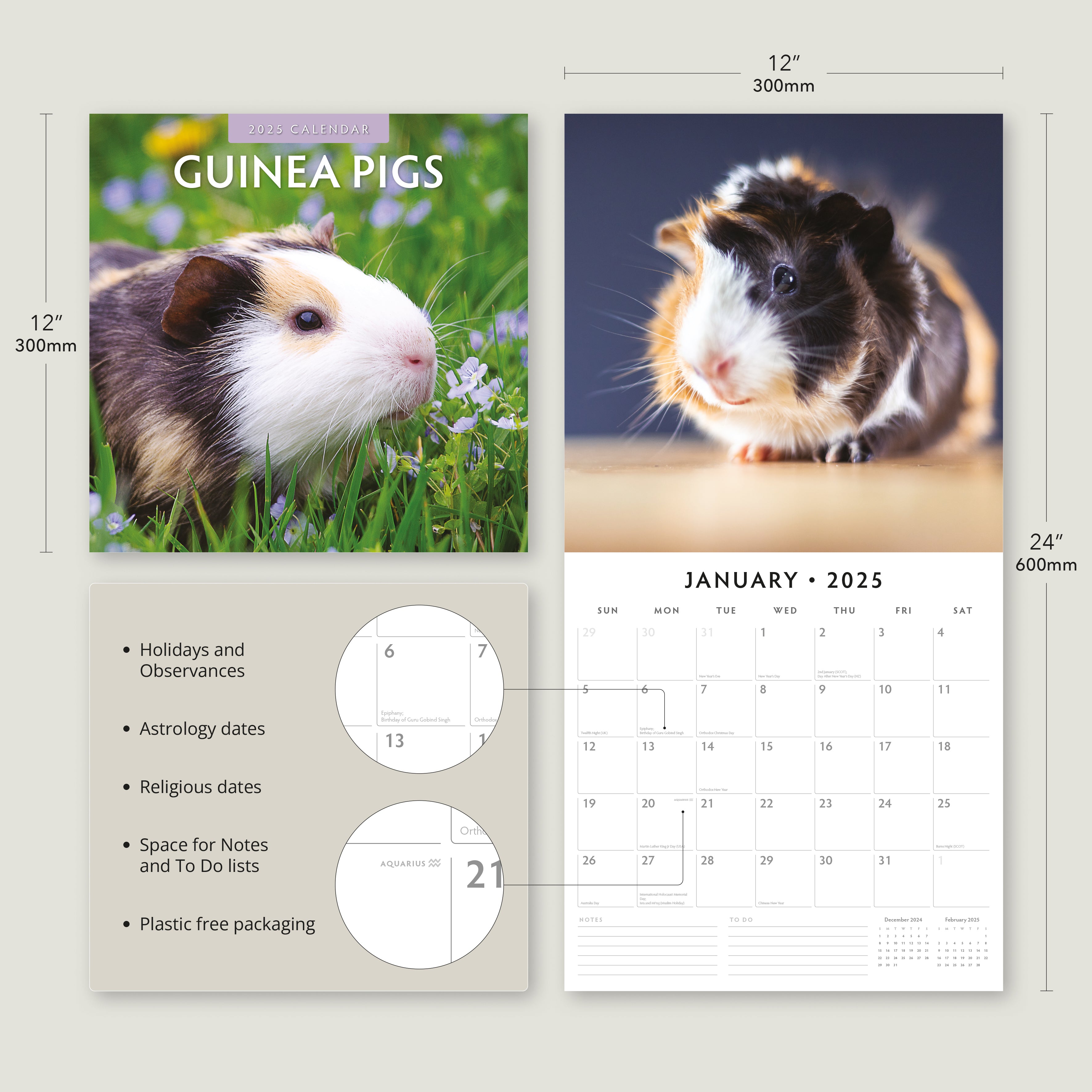 2025 Guinea Pigs - Square Wall Calendar