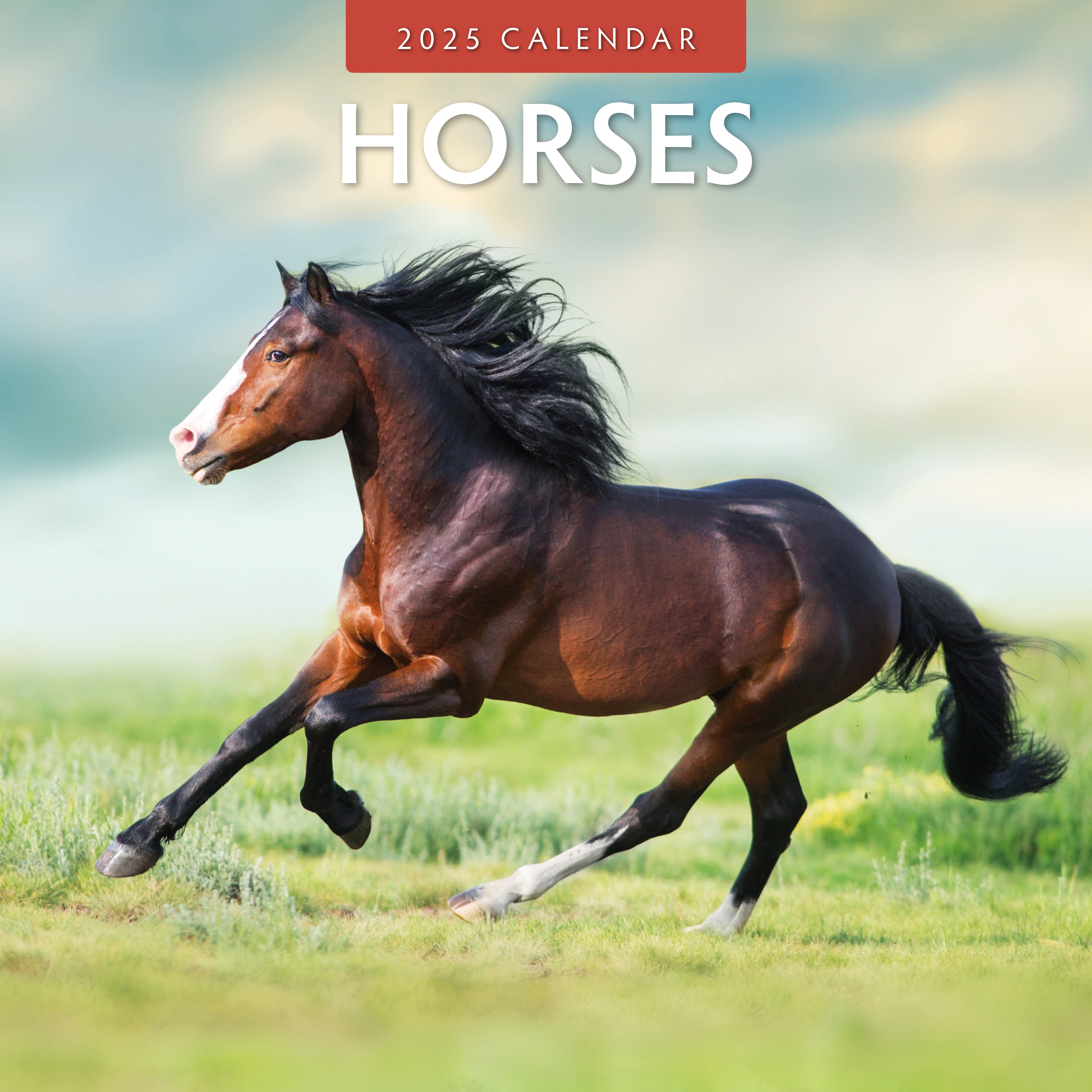 2025 Horses - Square Wall Calendar