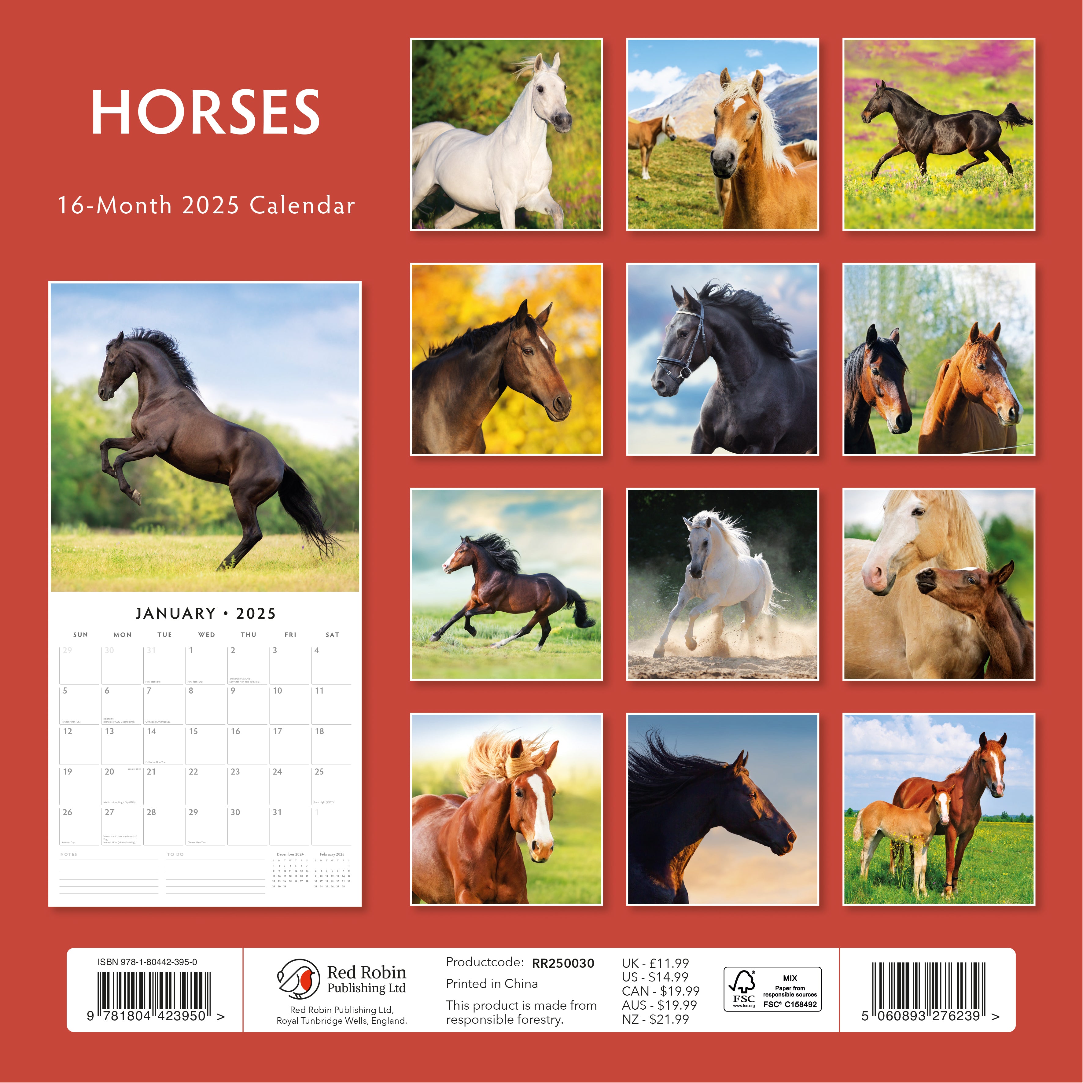 2025 Horses - Square Wall Calendar