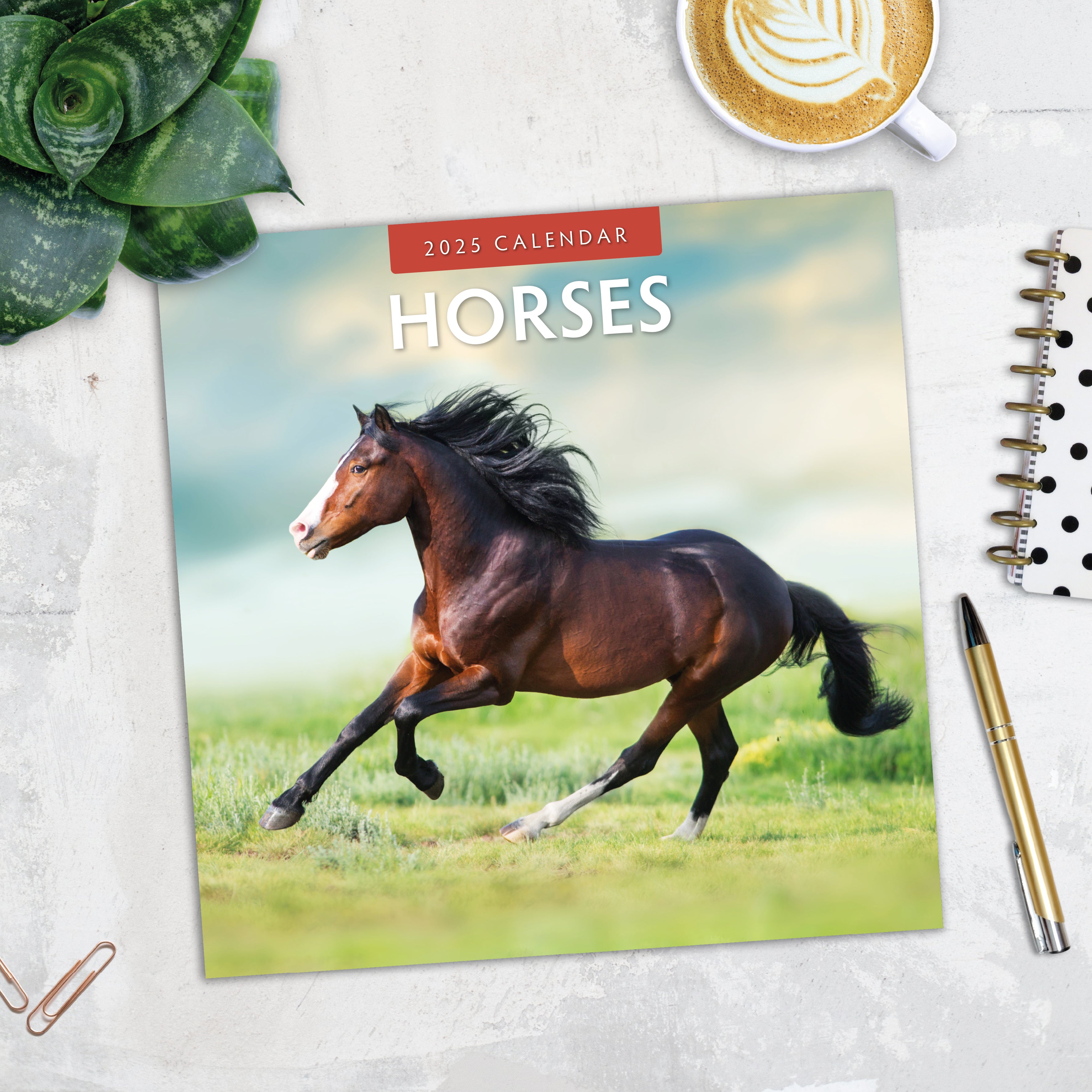 2025 Horses - Square Wall Calendar