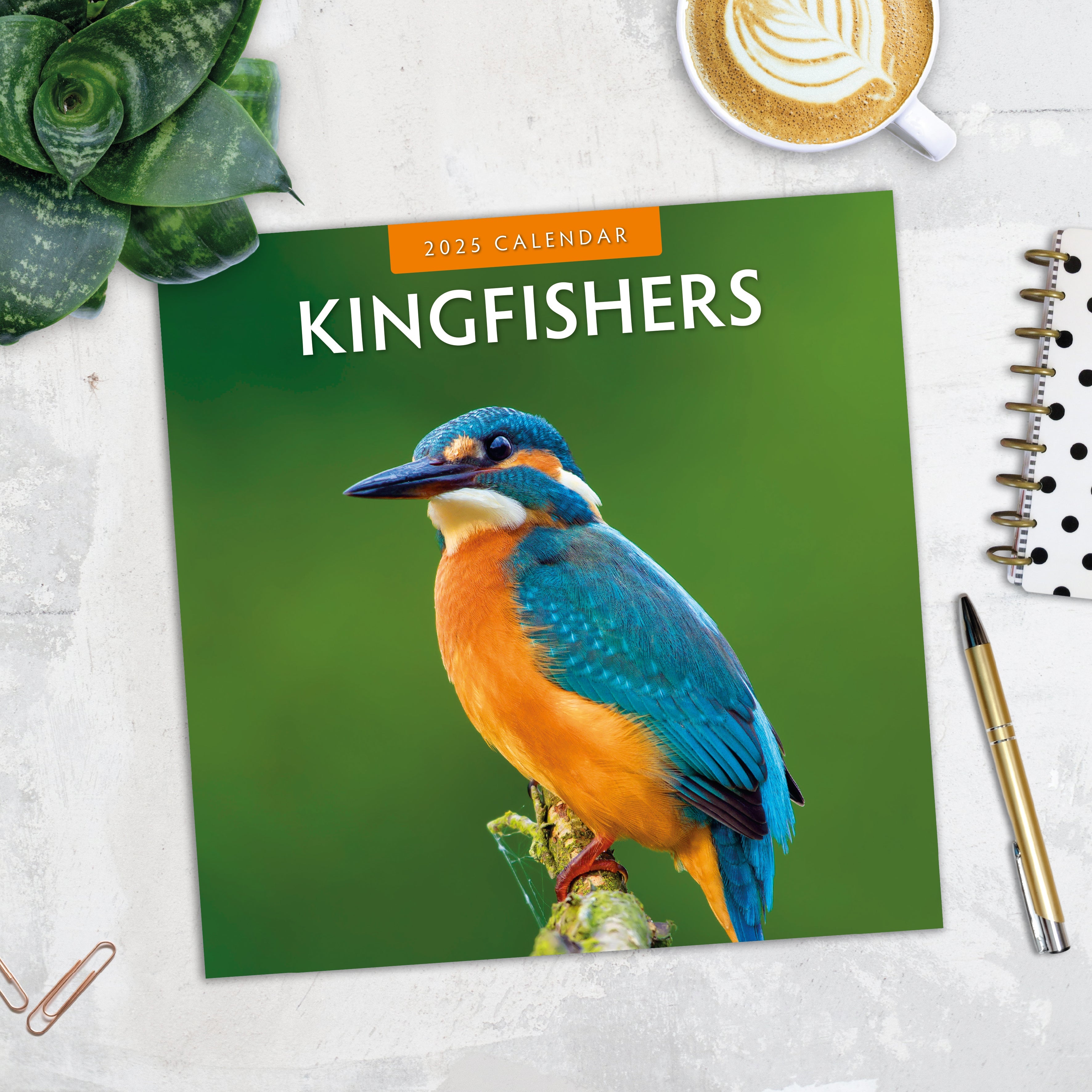 2025 Kingfishers - Square Wall Calendar