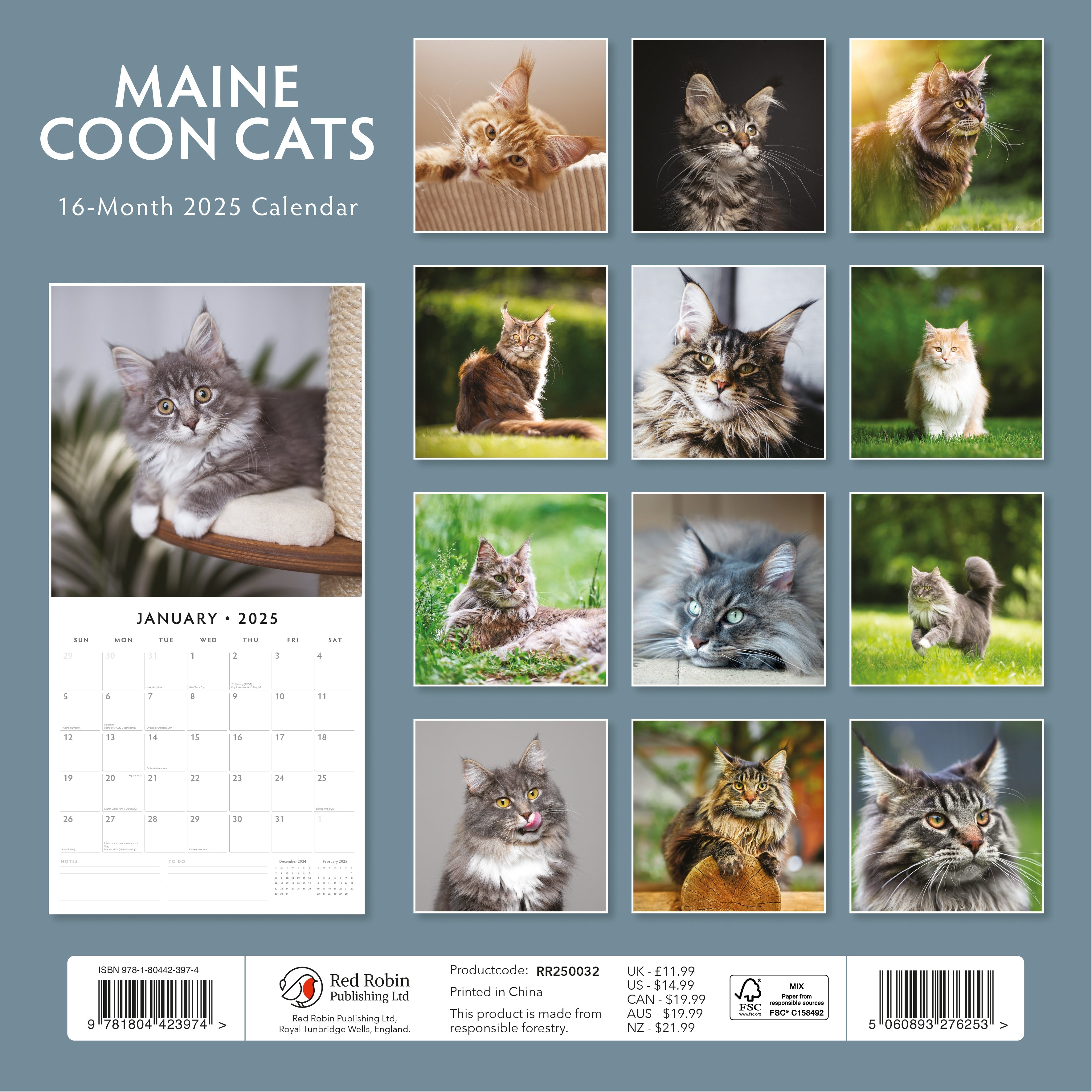 2025 Maine Coon Cats - Square Wall Calendar