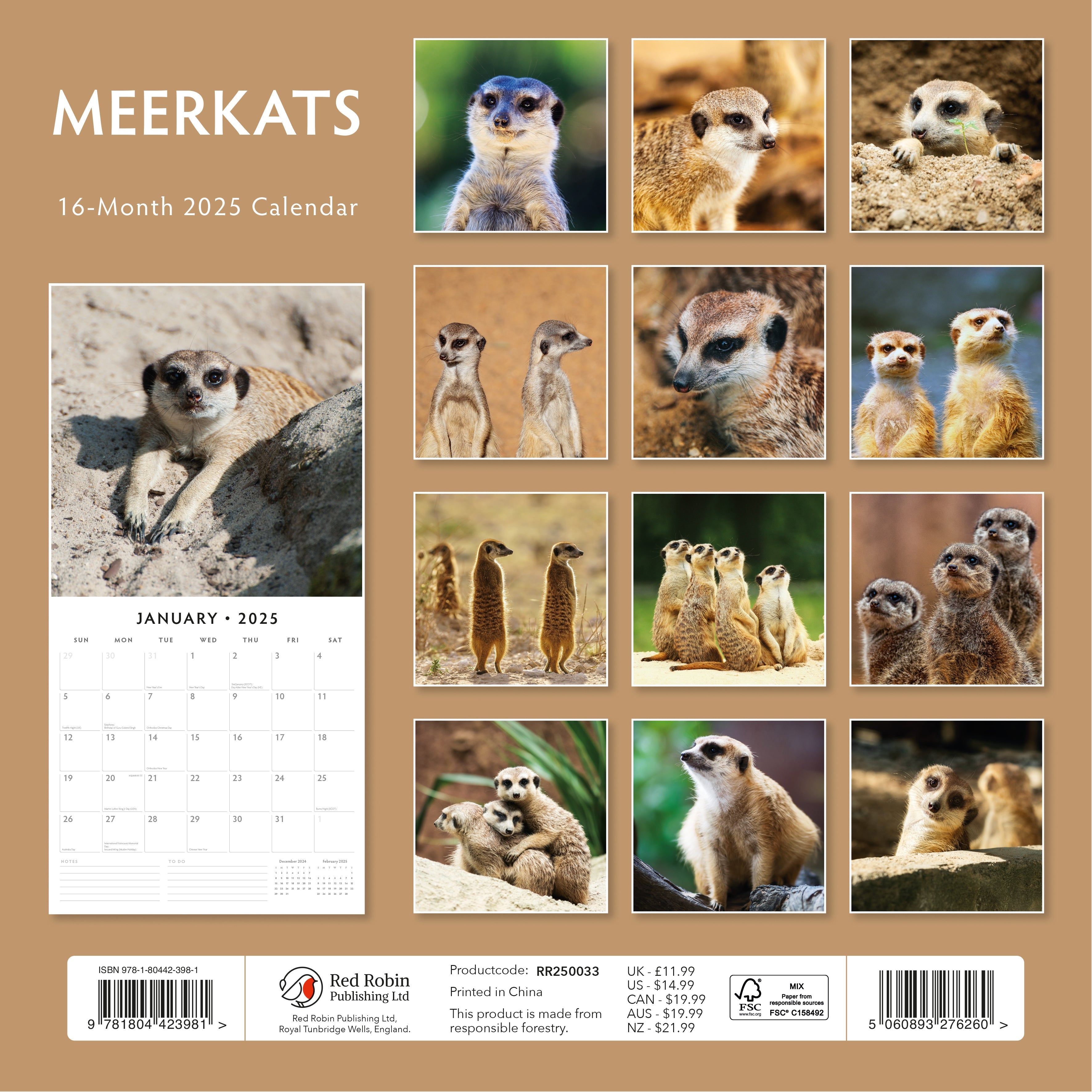 2025 Meerkats - Square Wall Calendar