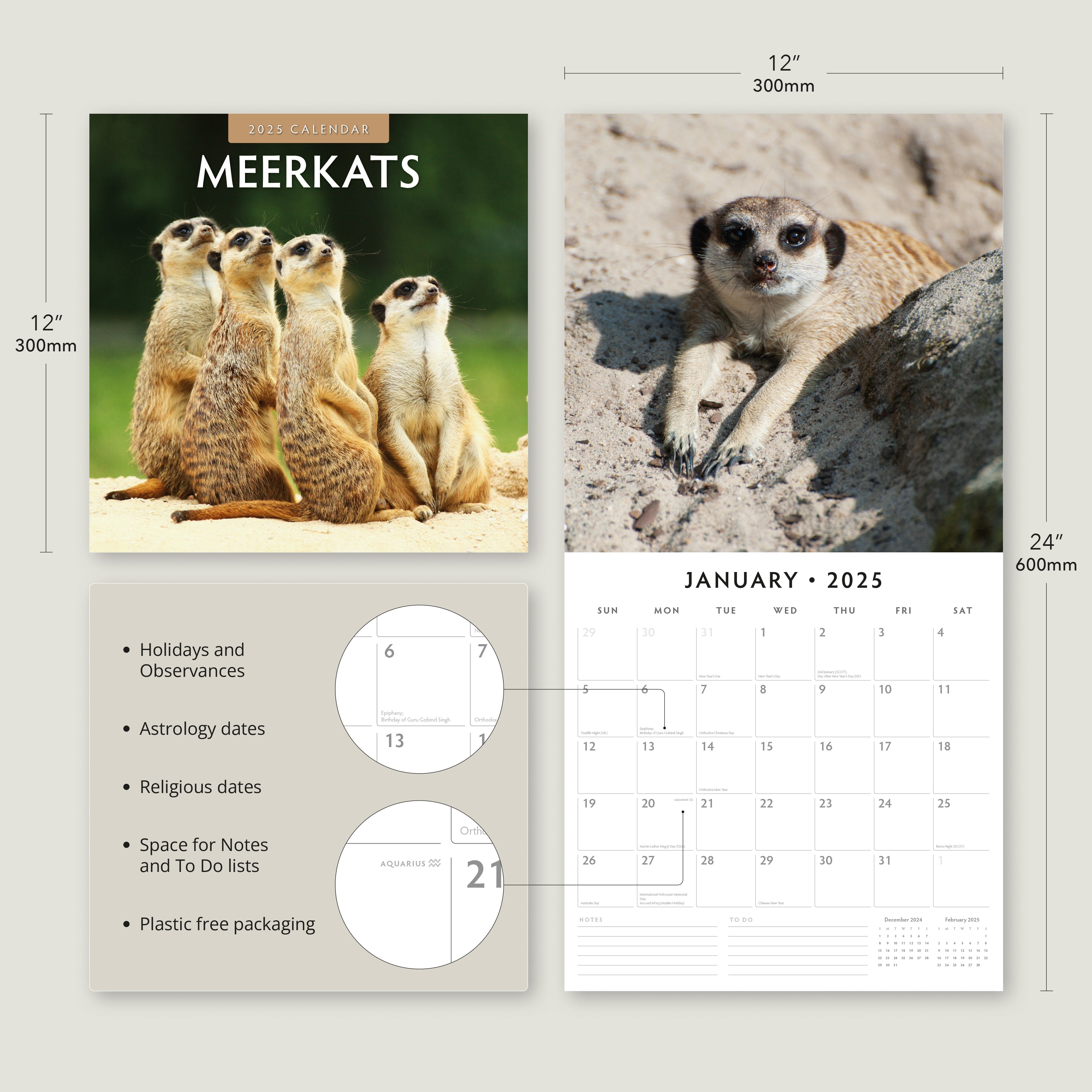 2025 Meerkats - Square Wall Calendar