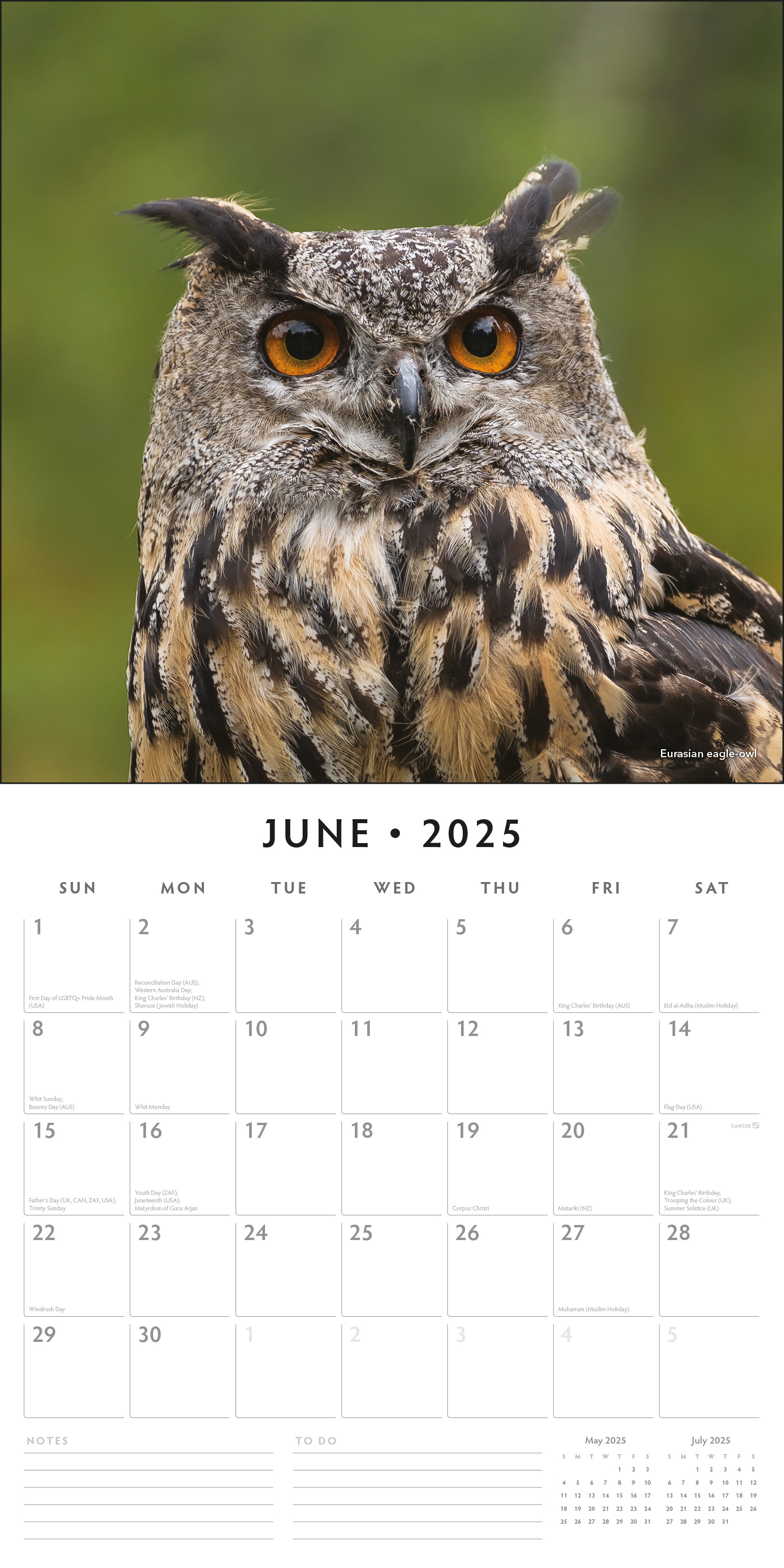 2025 Owls - Square Wall Calendar