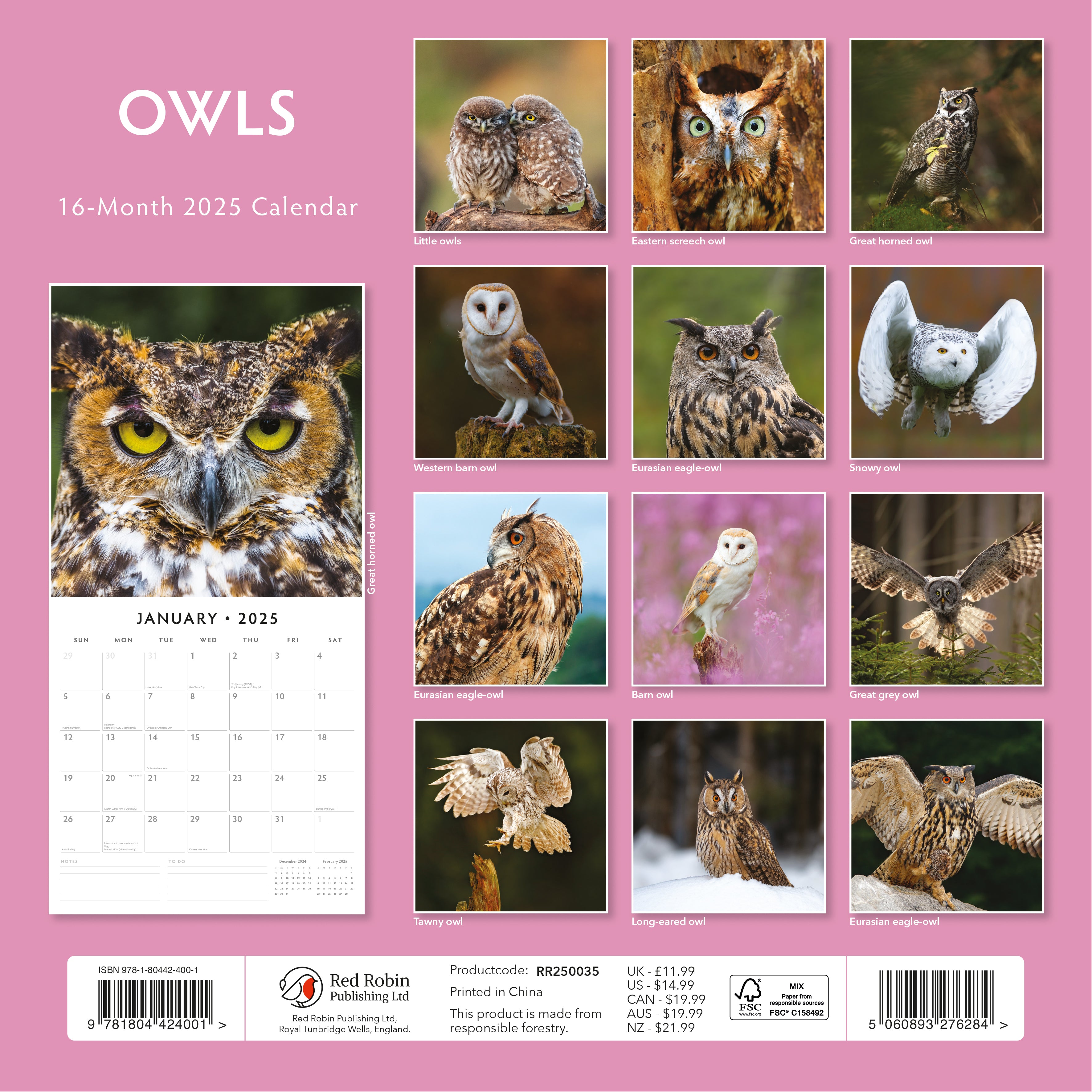 2025 Owls - Square Wall Calendar