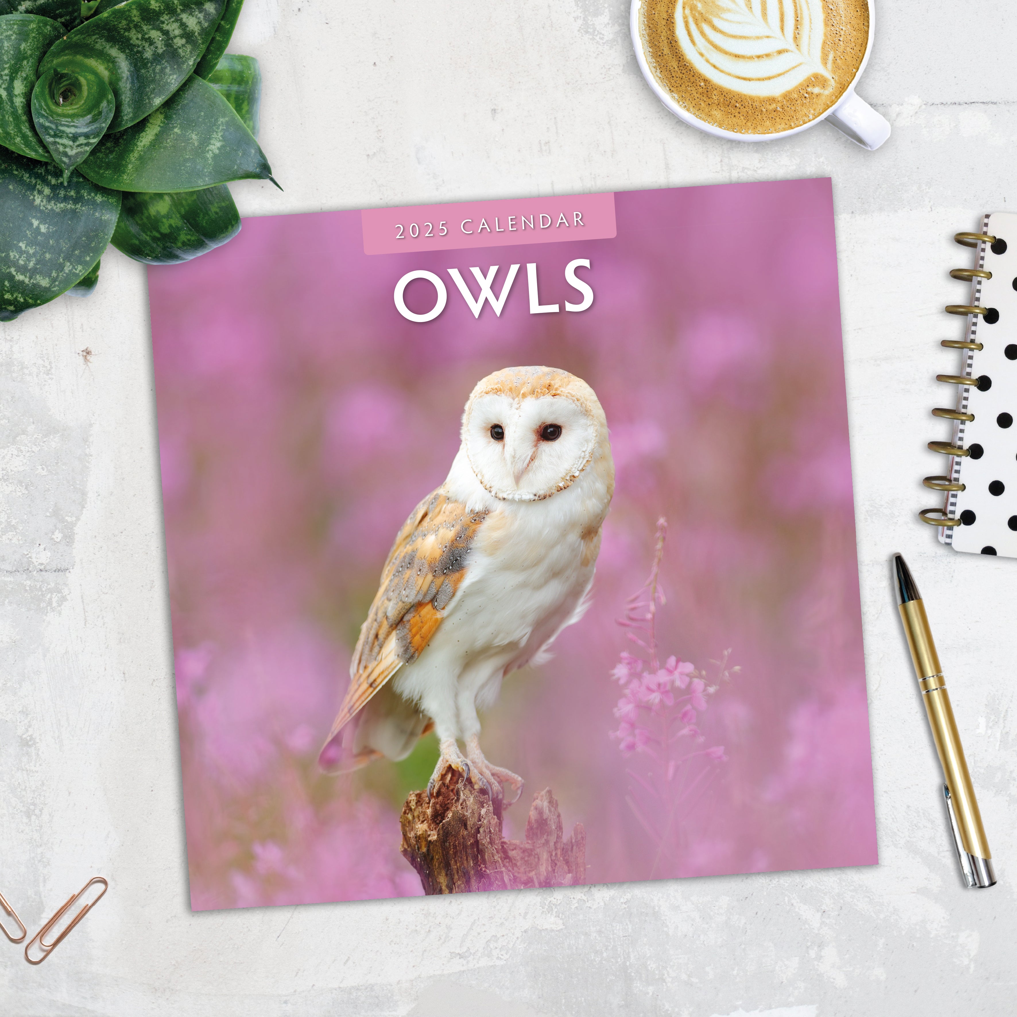 2025 Owls - Square Wall Calendar