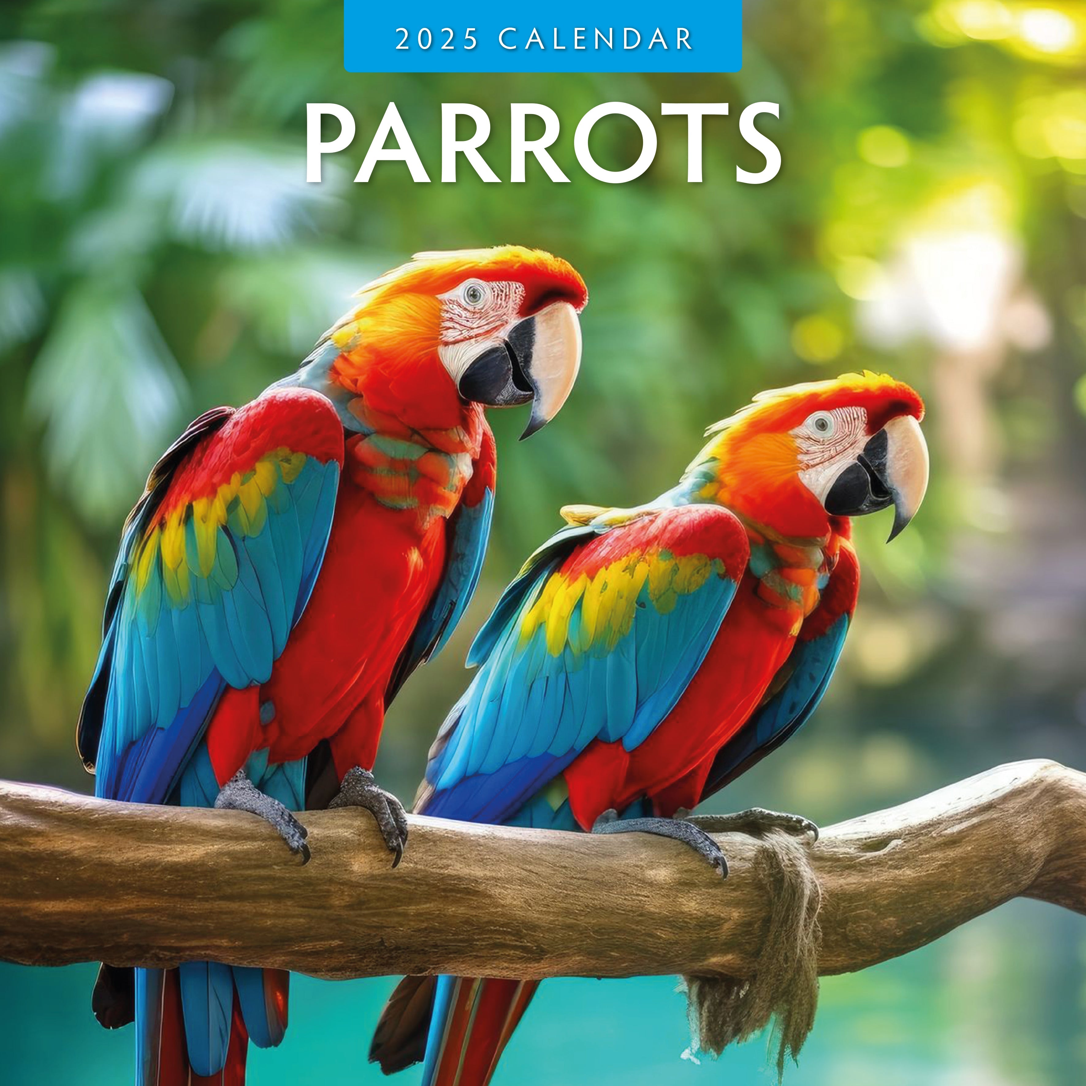 2025 Parrots - Square Wall Calendar