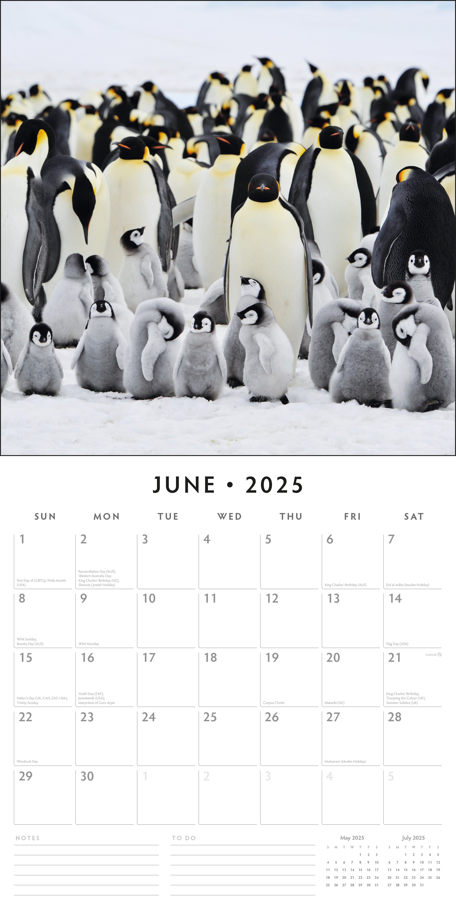 2025 Penguins - Square Wall Calendar