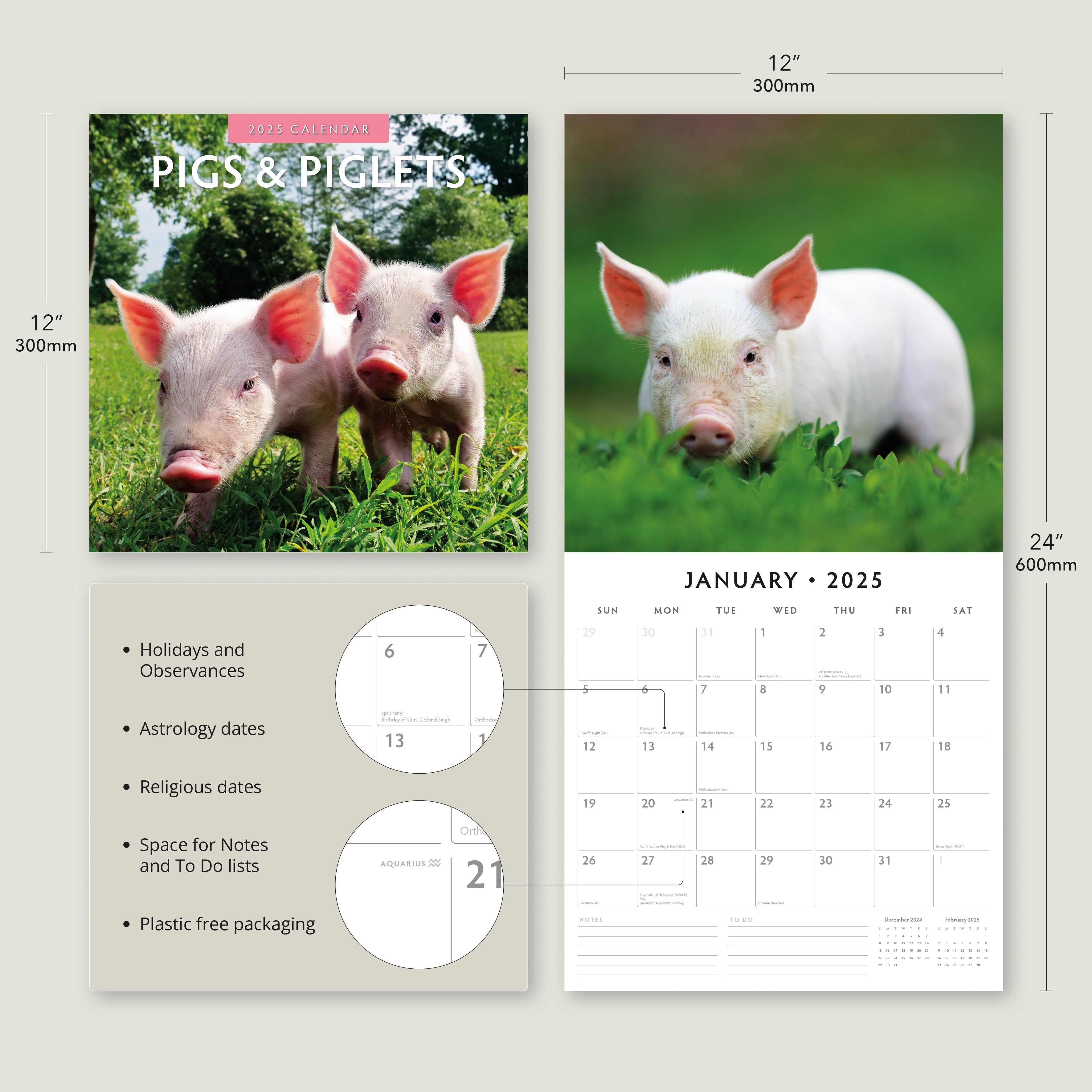 2025 Pigs & Piglets - Square Wall Calendar