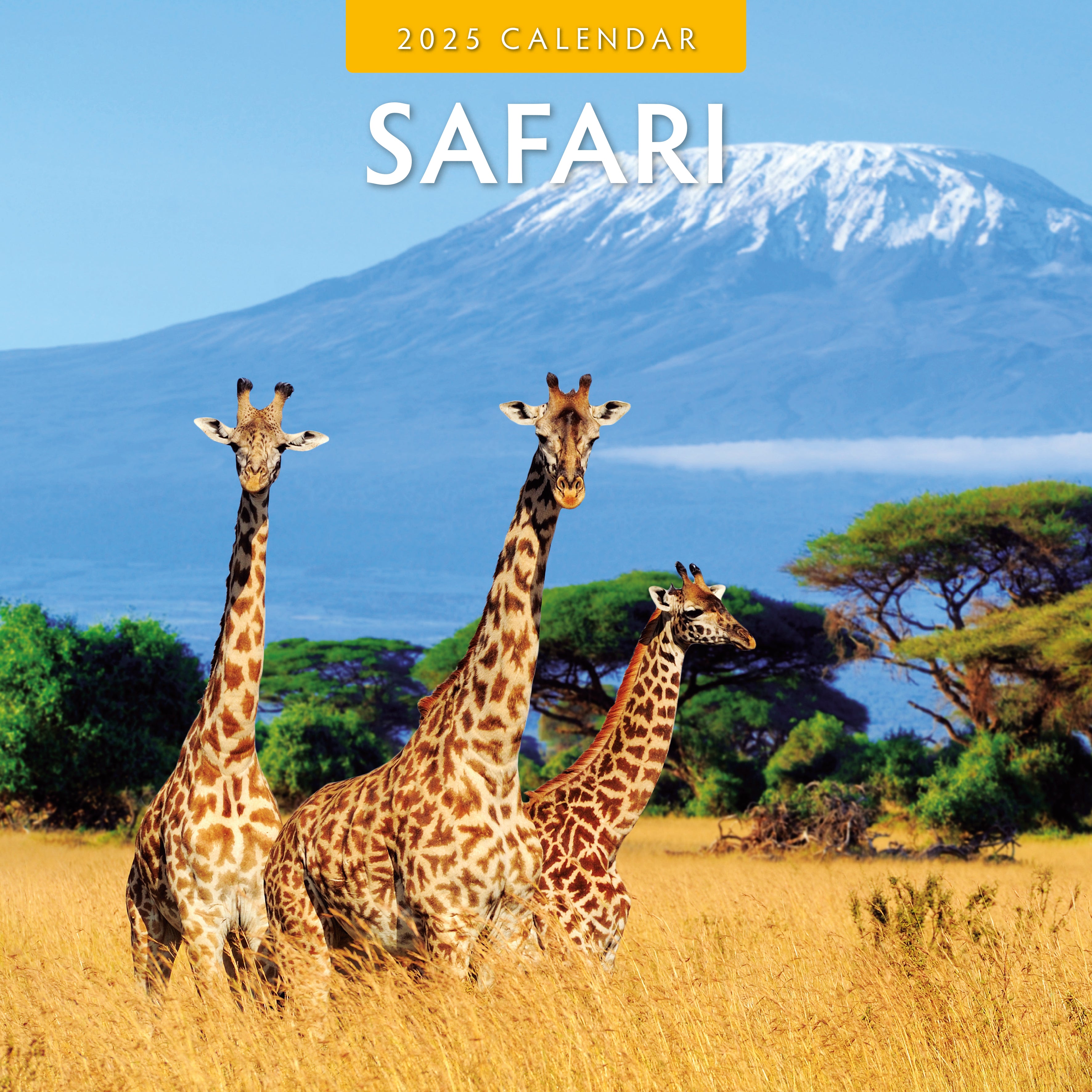 2025 Safari - Square Wall Calendar