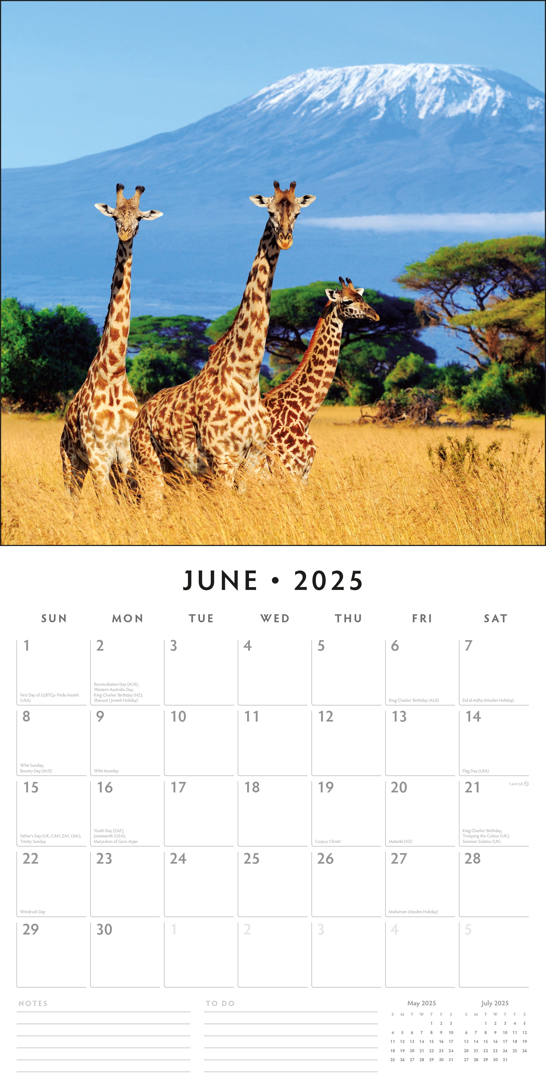 2025 Safari - Square Wall Calendar