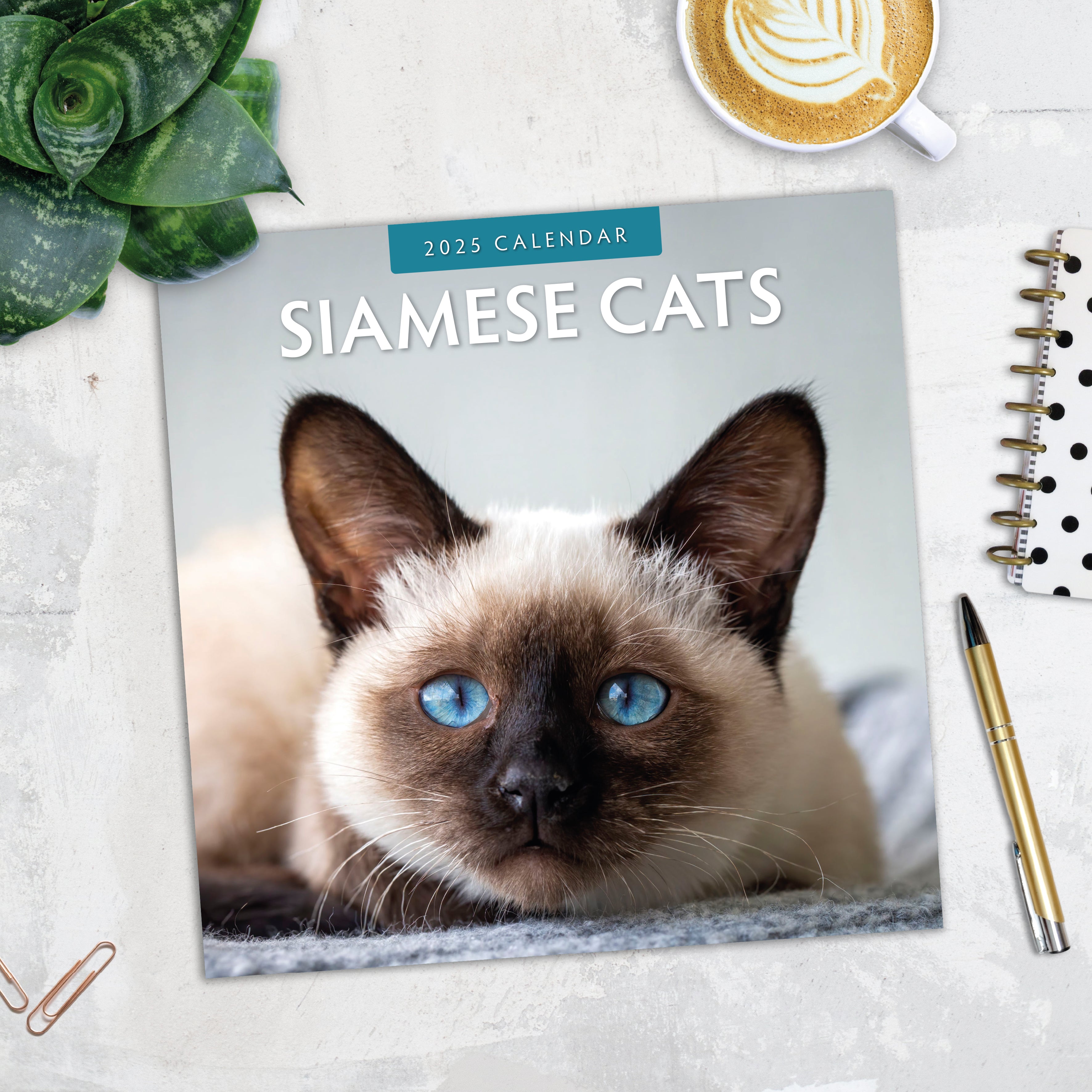 2025 Siamese Cats - Square Wall Calendar