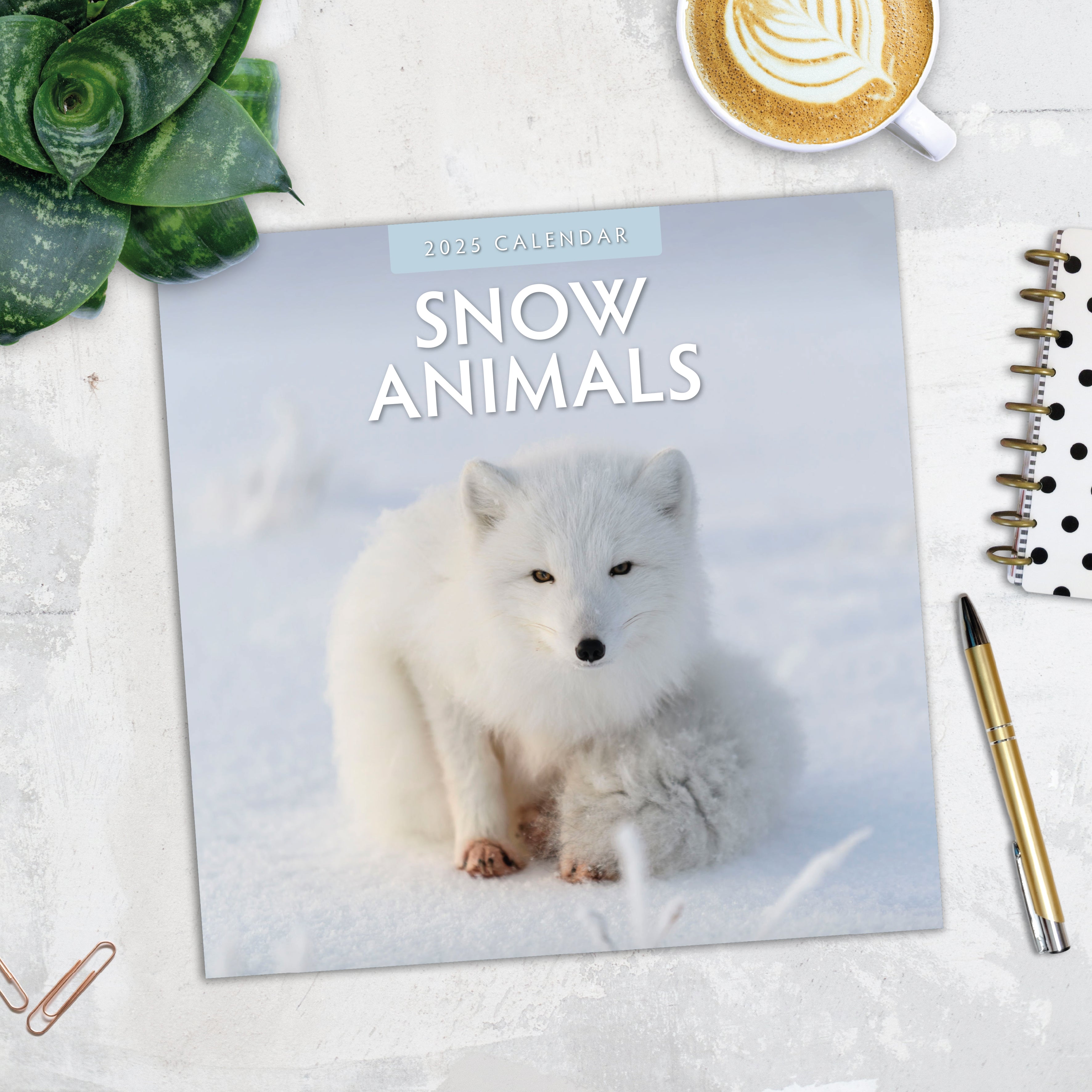 2025 Snow Animals - Square Wall Calendar