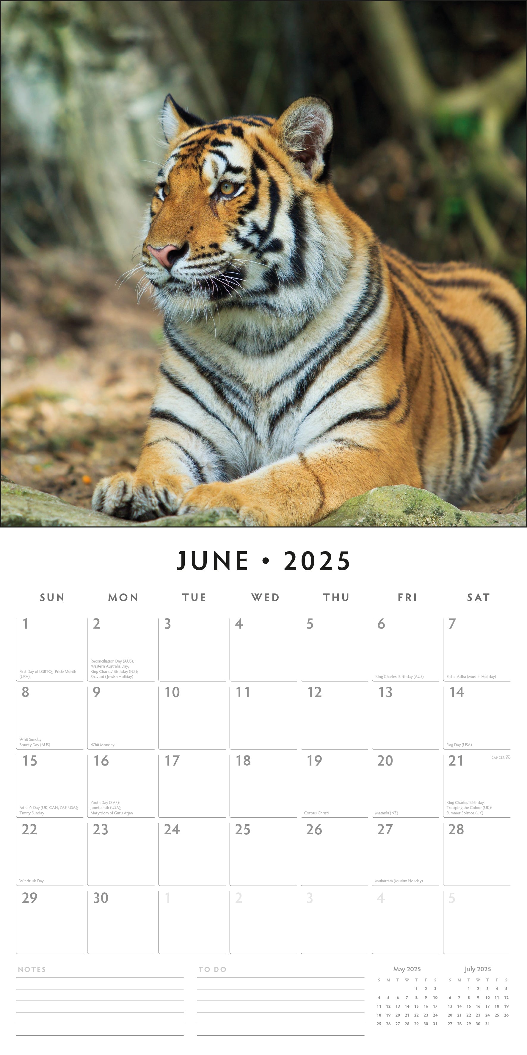 2025 Tigers - Square Wall Calendar