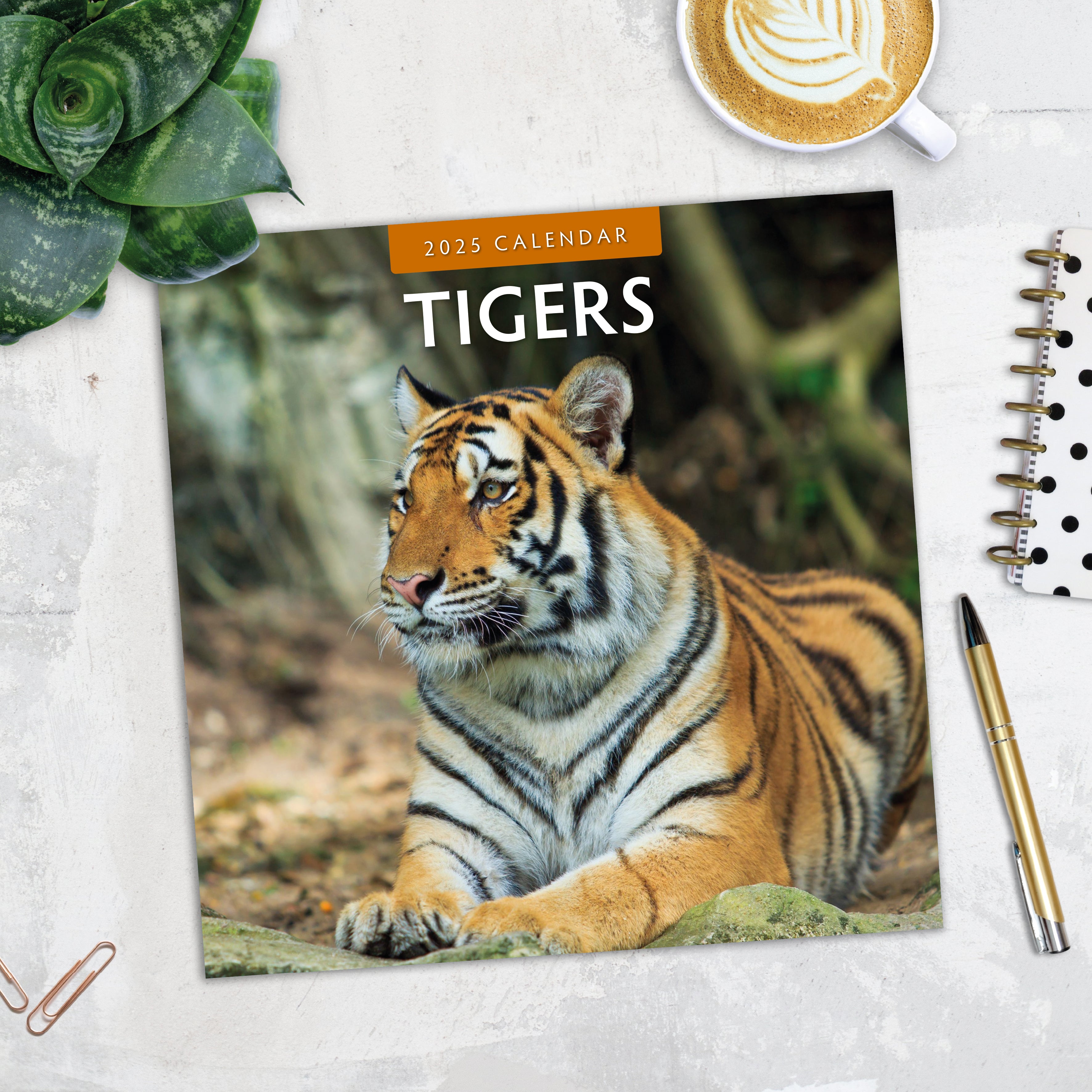 2025 Tigers - Square Wall Calendar