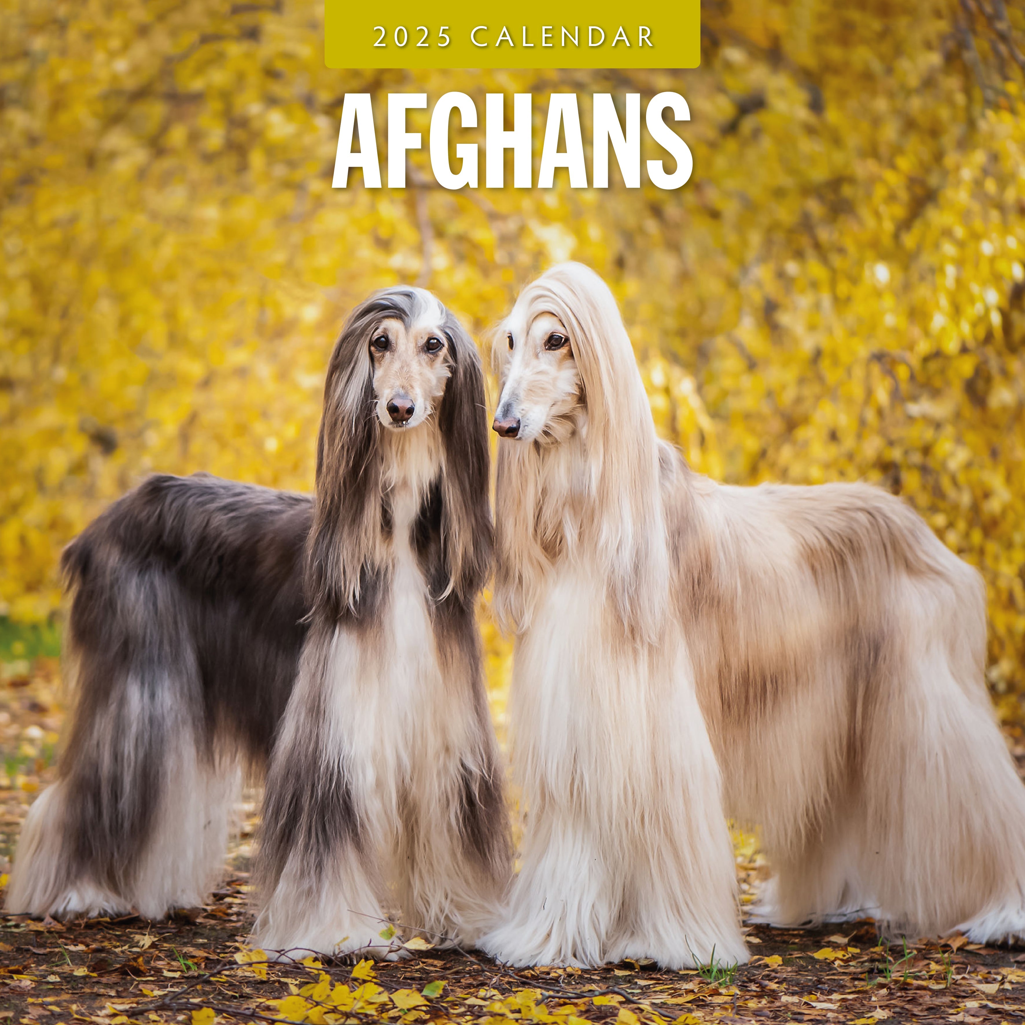 2025 Afghans - Square Wall Calendar