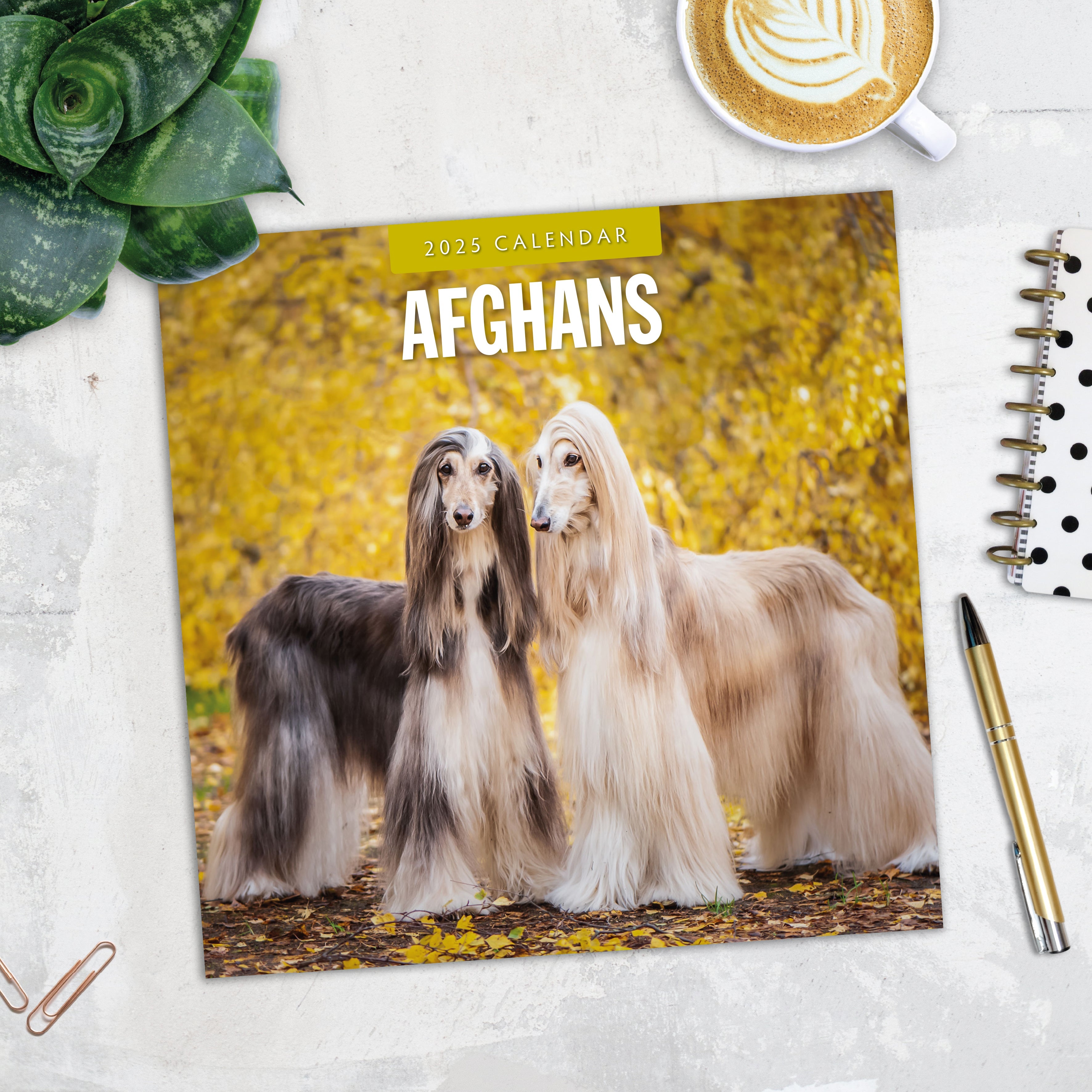 2025 Afghans - Square Wall Calendar