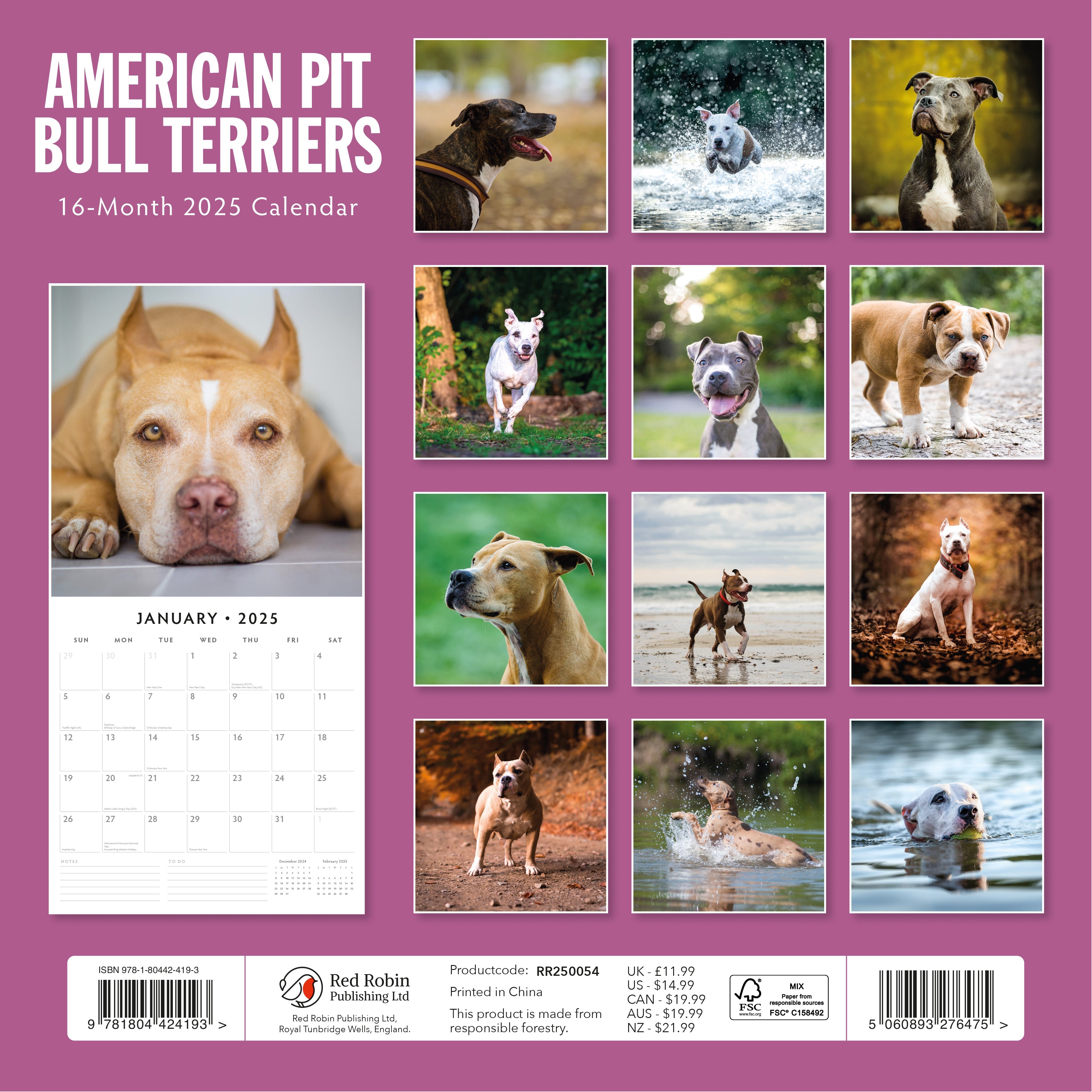 2025 American Pit Bull Terriers - Square Wall Calendar