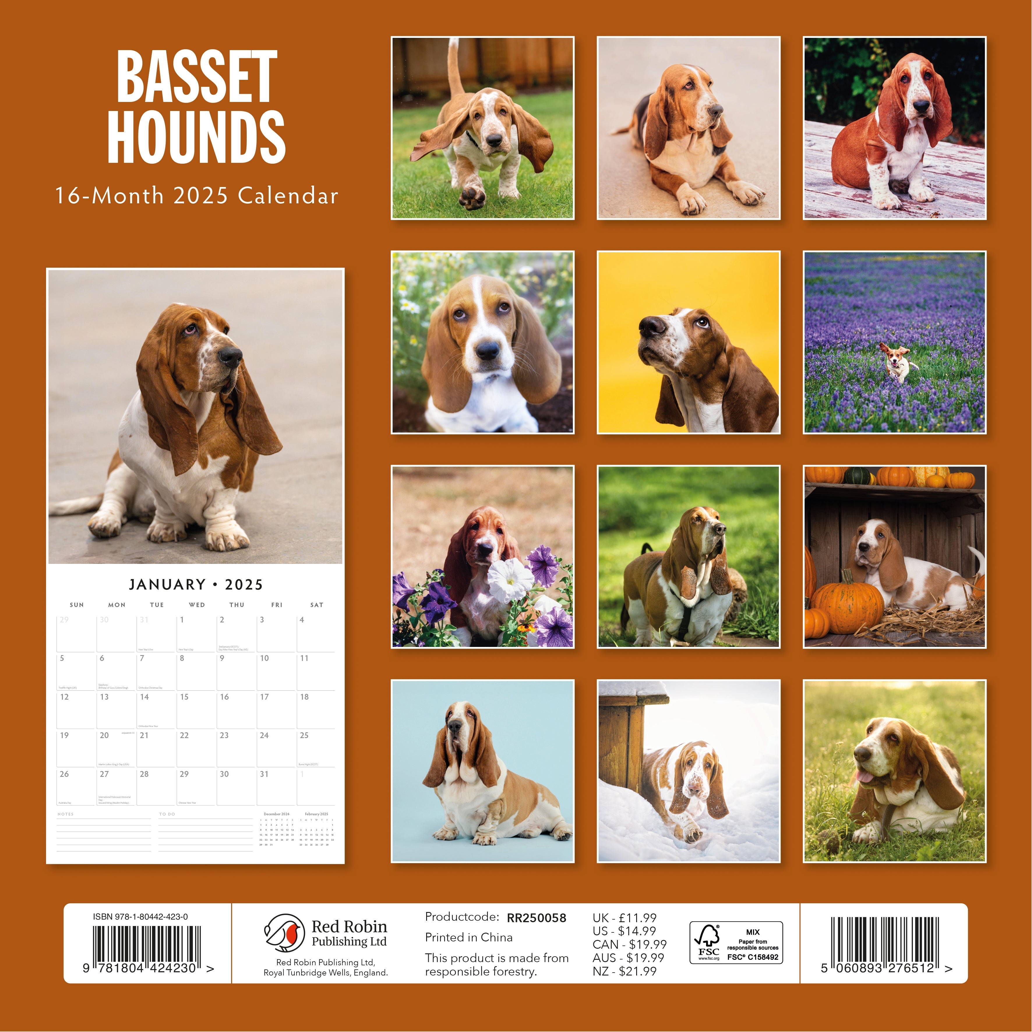 2025 Basset Hounds - Square Wall Calendar