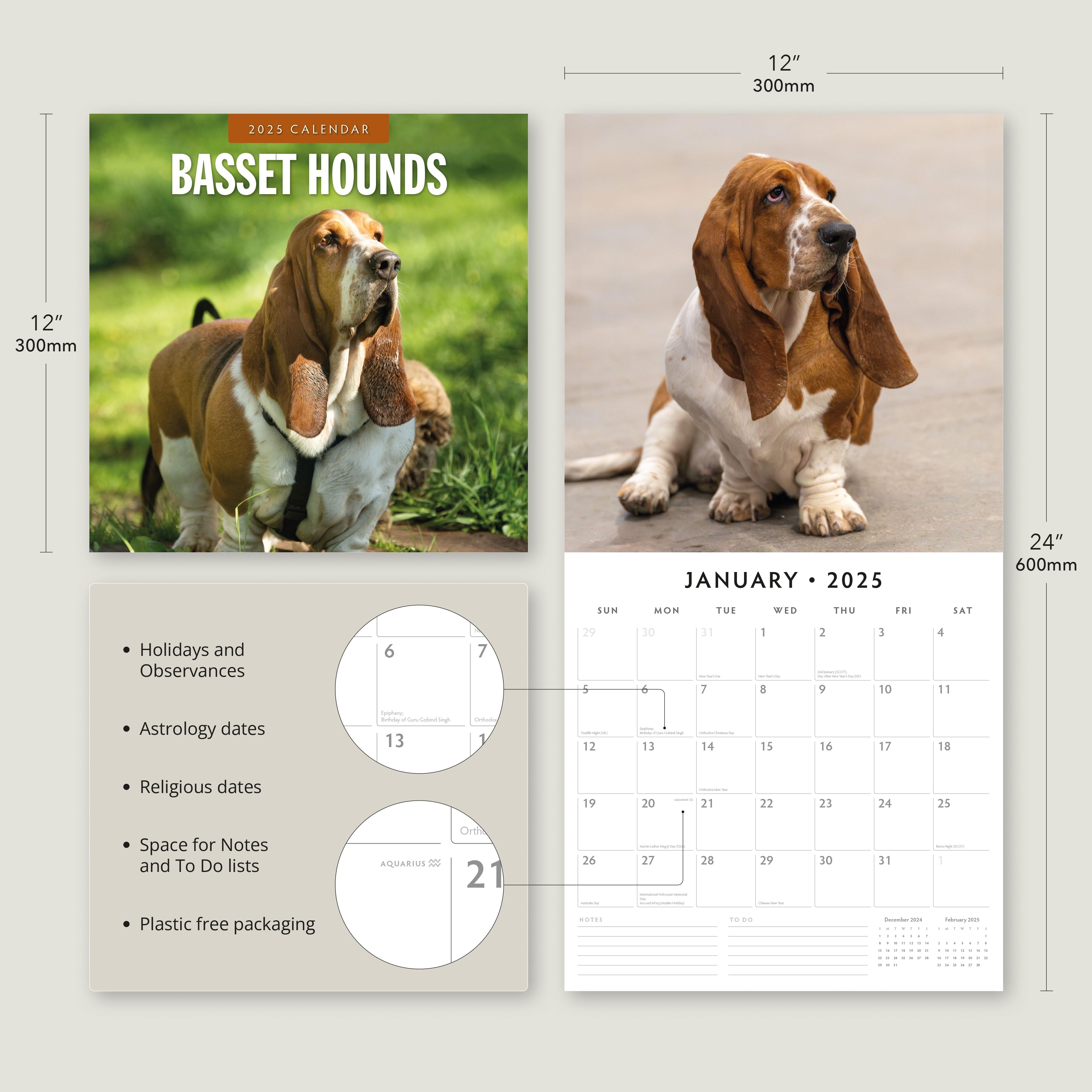 2025 Basset Hounds - Square Wall Calendar