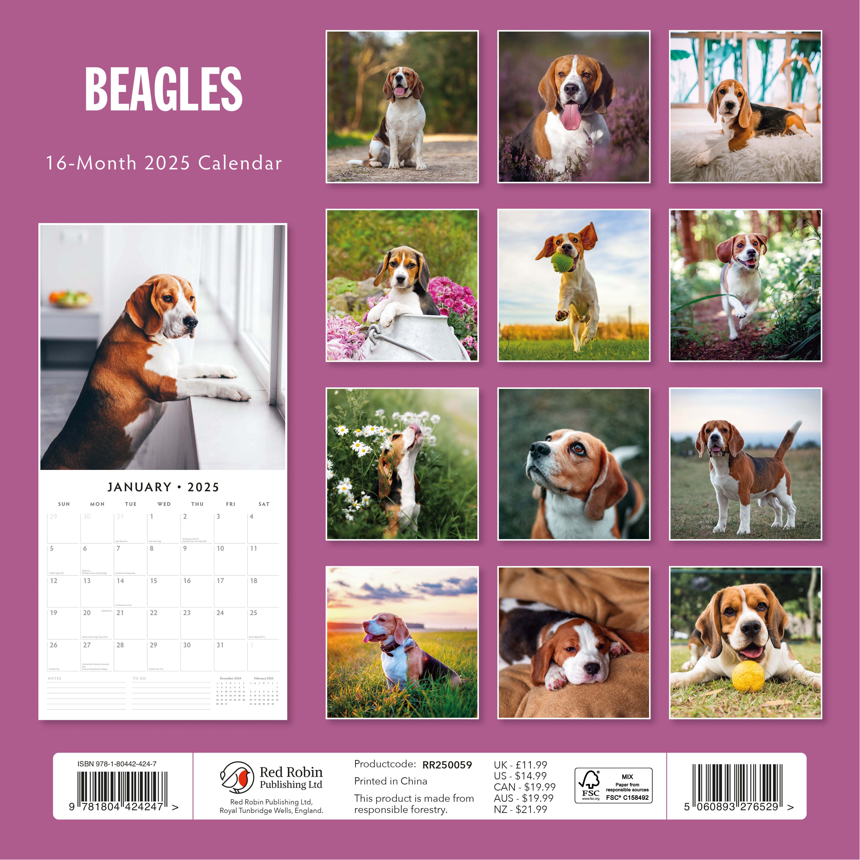 2025 Beagles - Square Wall Calendar