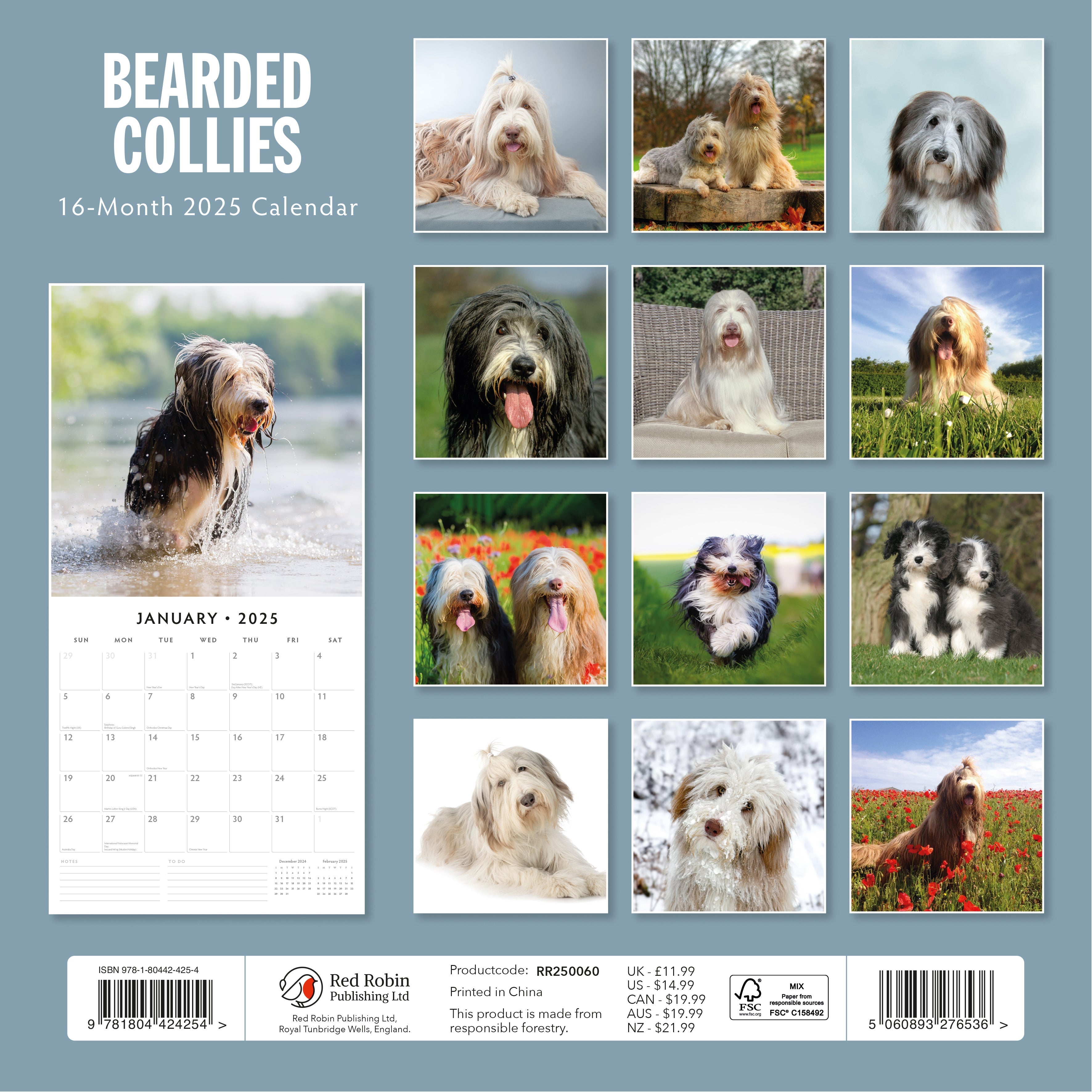 2025 Bearded Collies - Square Wall Calendar