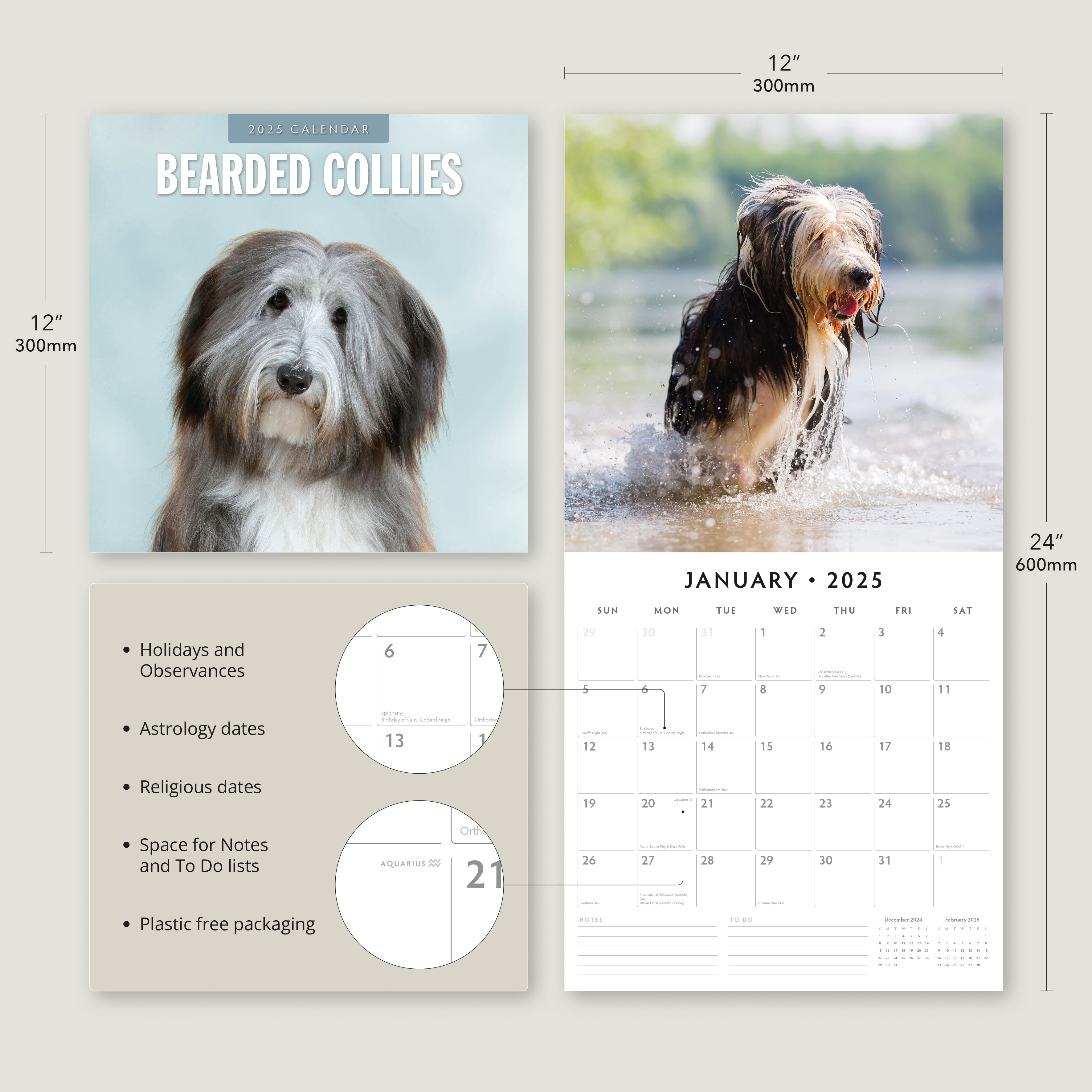 2025 Bearded Collies - Square Wall Calendar