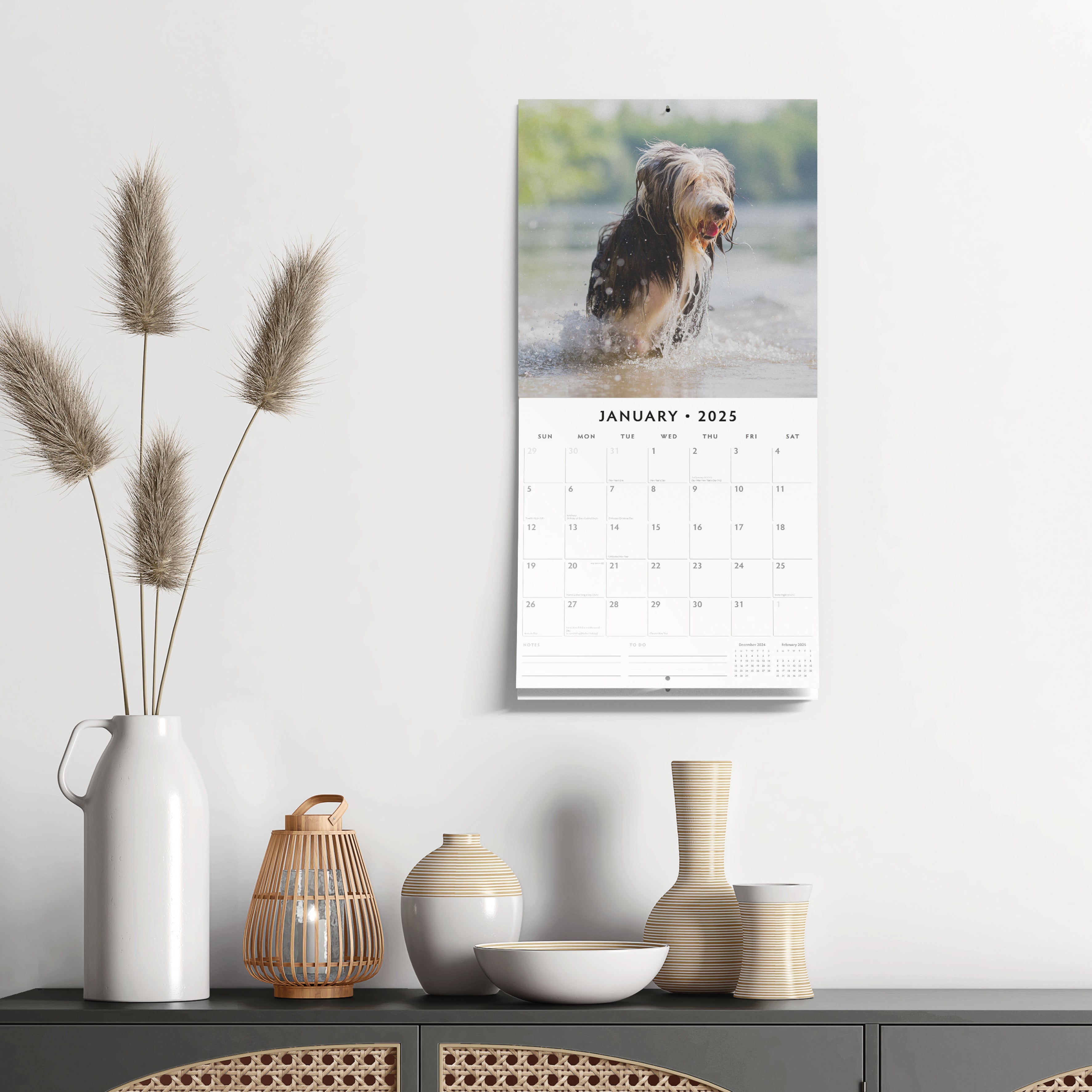 2025 Bearded Collies - Square Wall Calendar