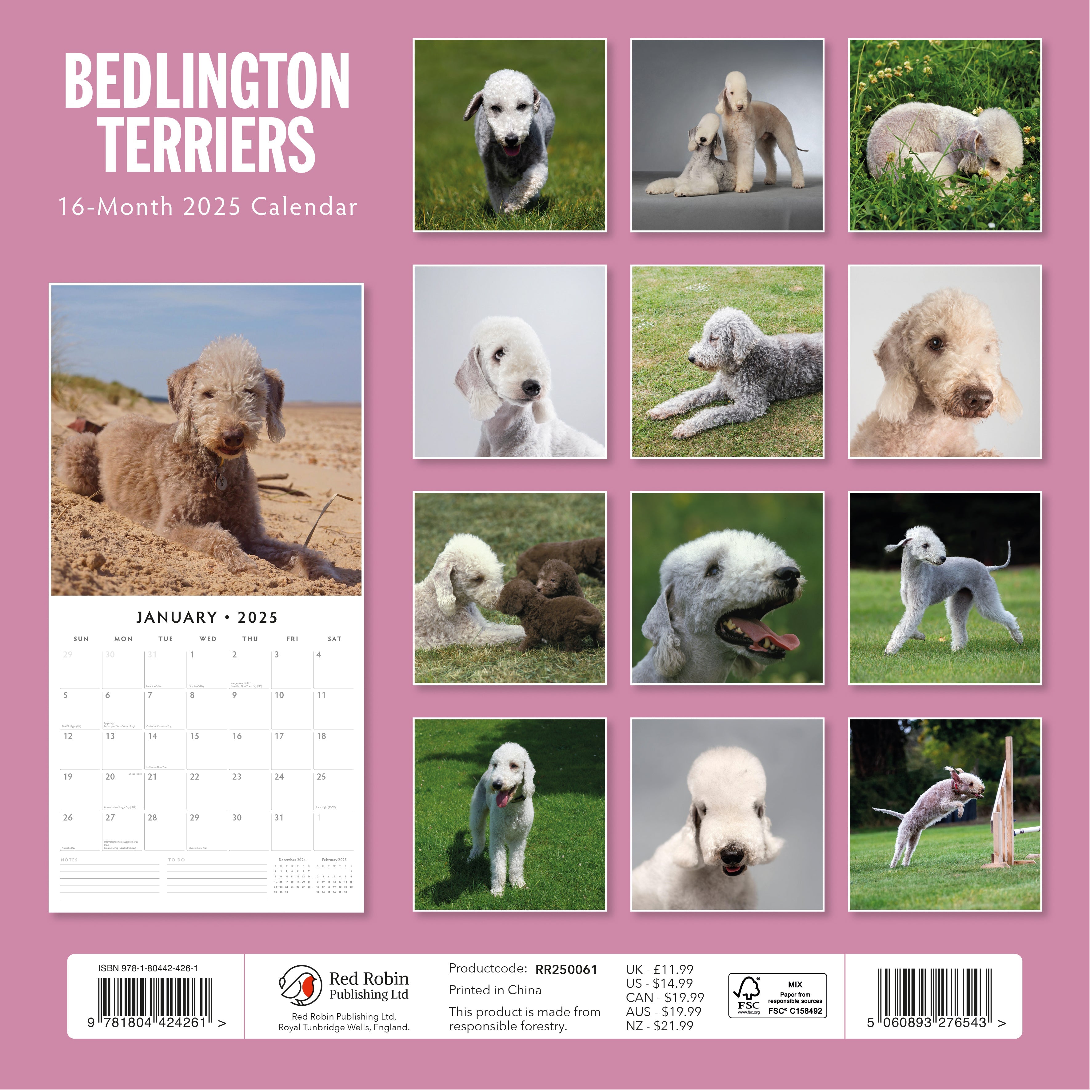 2025 Bedlington Terriers - Square Wall Calendar