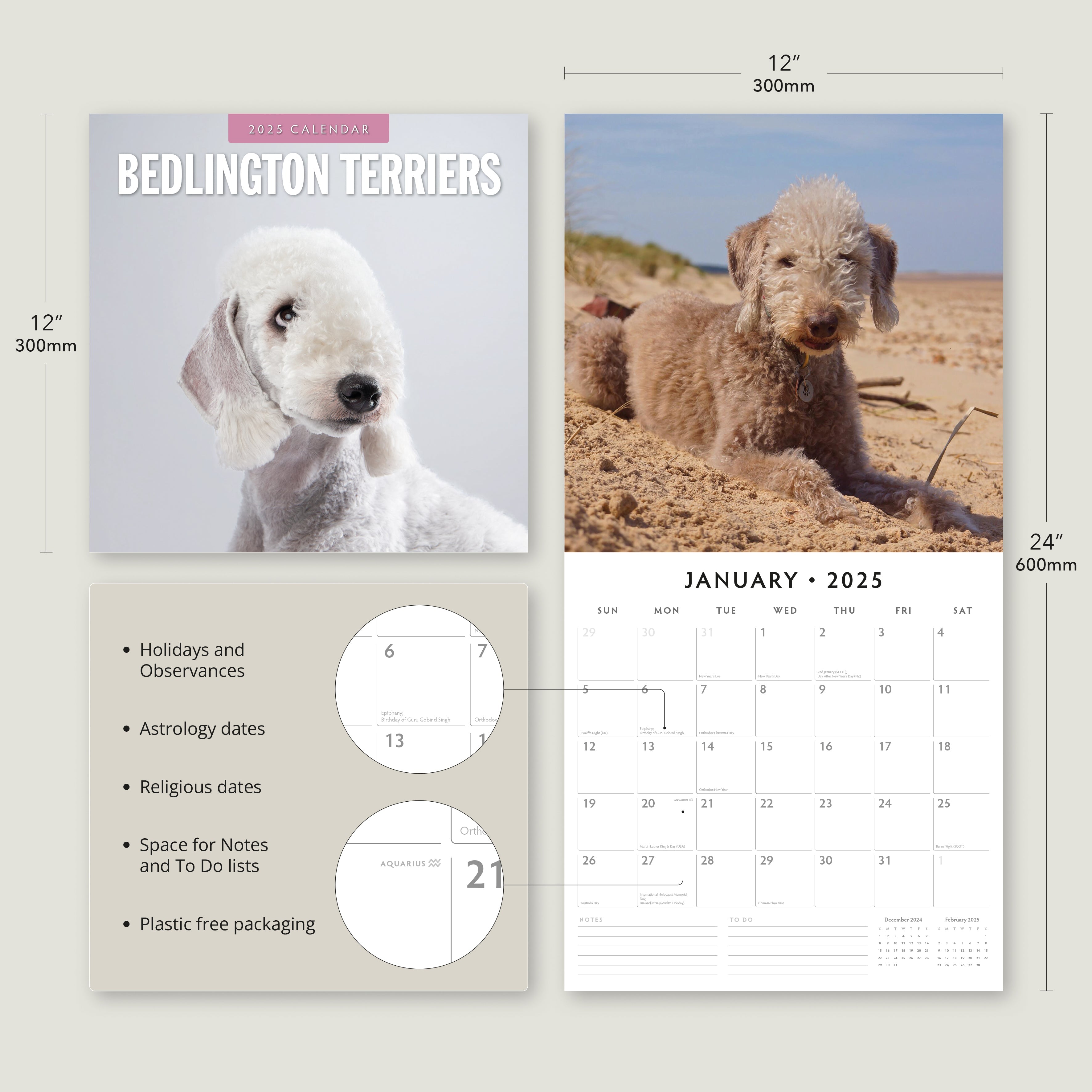 2025 Bedlington Terriers - Square Wall Calendar