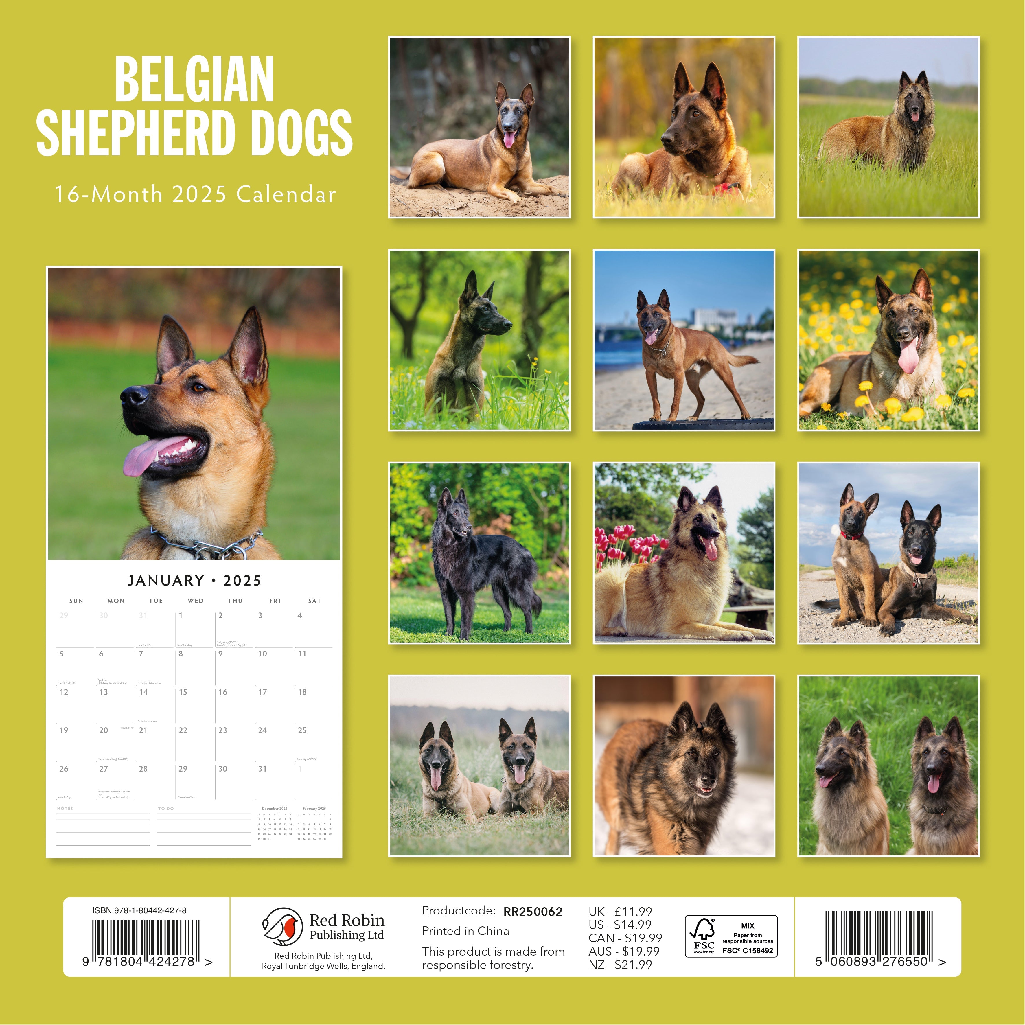 2025 Belgian Shepherd Dogs - Square Wall Calendar