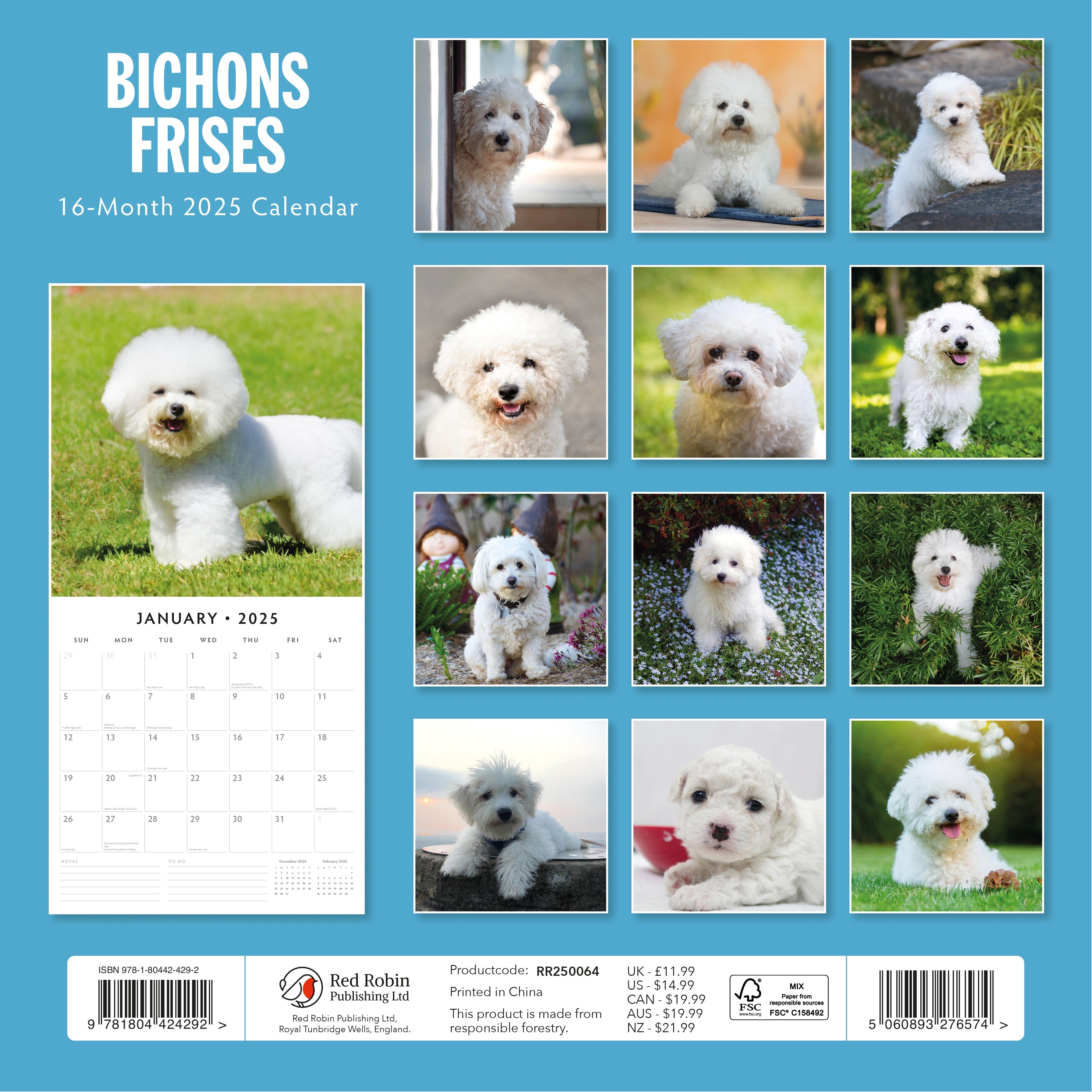 2025 Bichons Frises - Square Wall Calendar