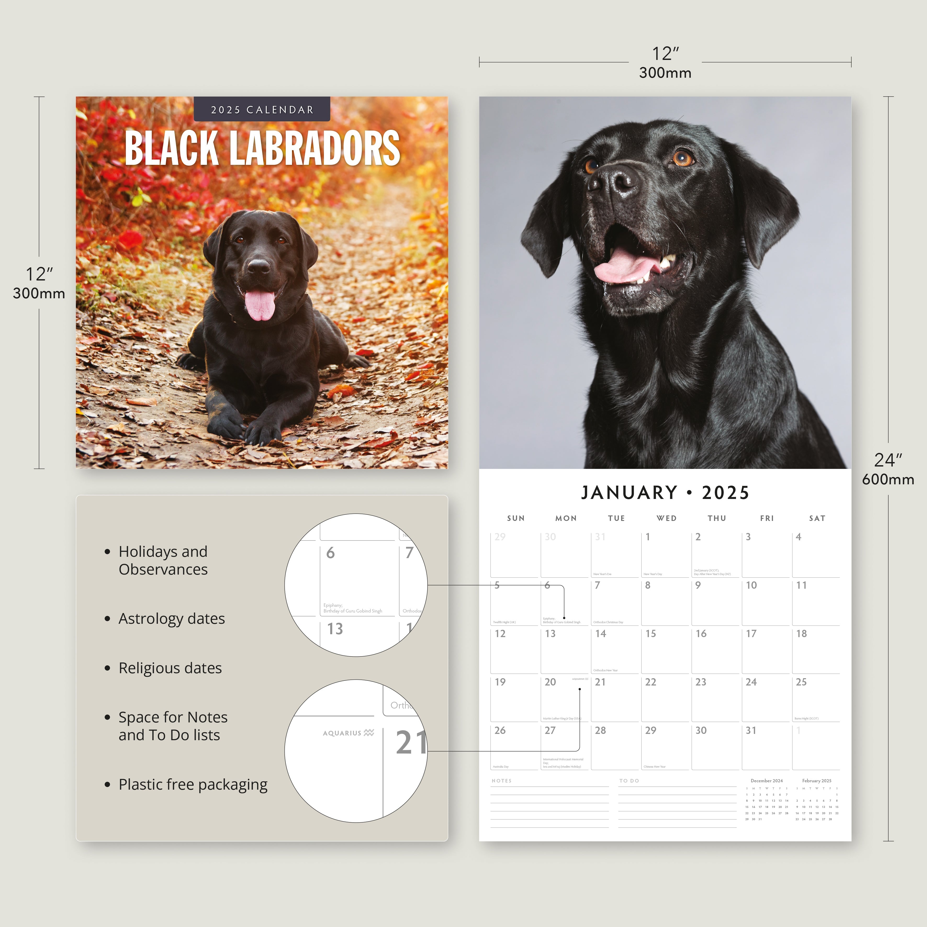 2025 Black Labradors - Square Wall Calendar