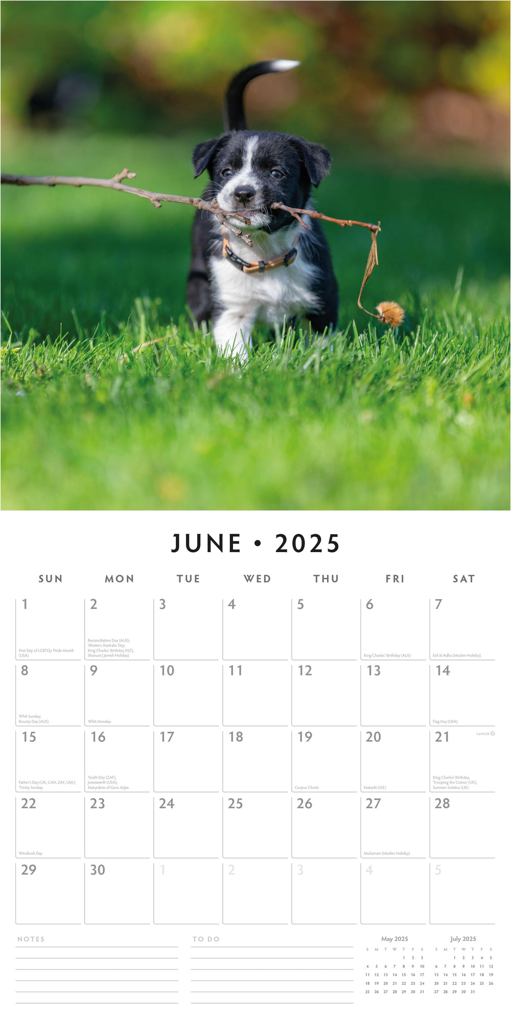 Dogs Calendar 2025 Over 100 Breeds To Choose From