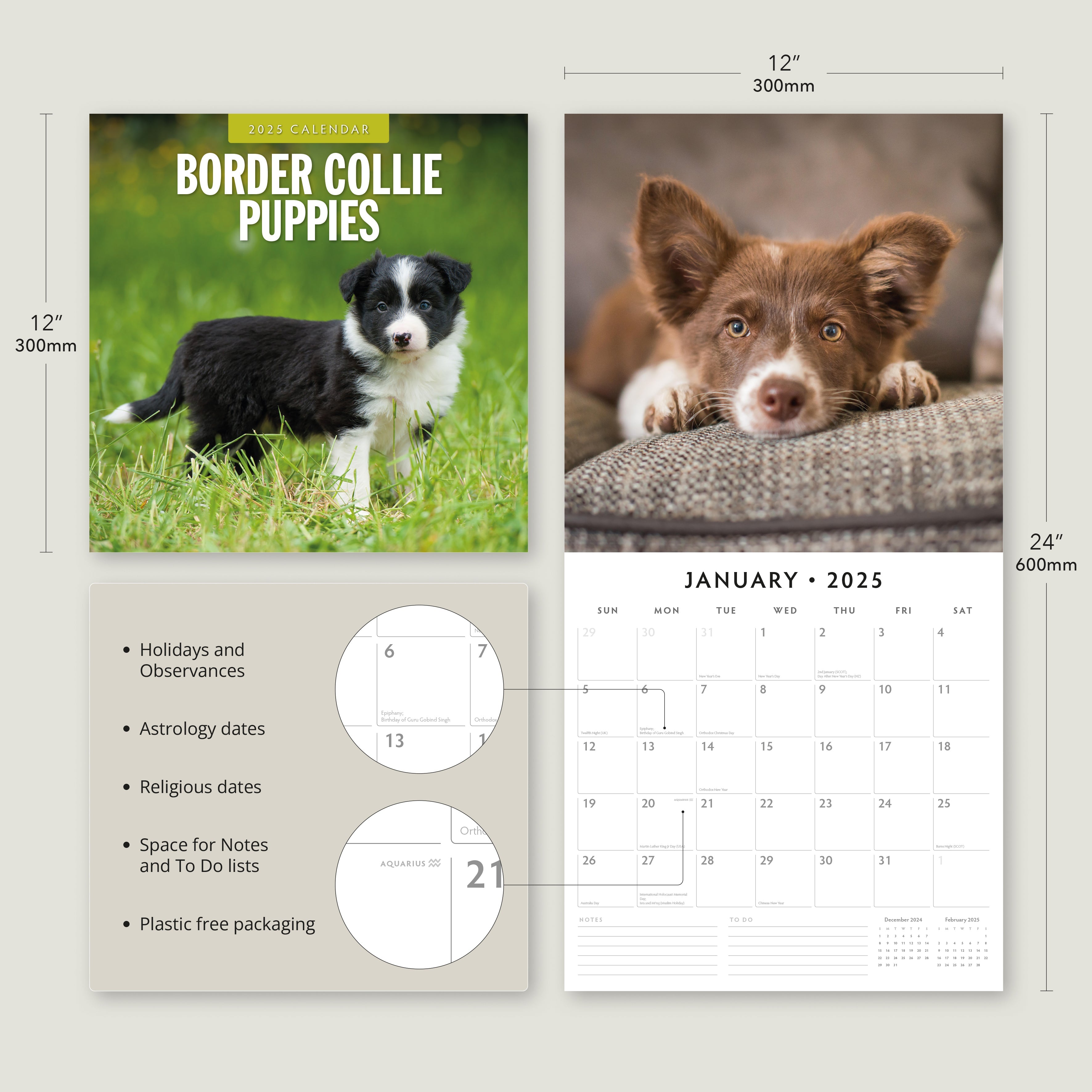 2025 Border Collie Puppies - Square Wall Calendar