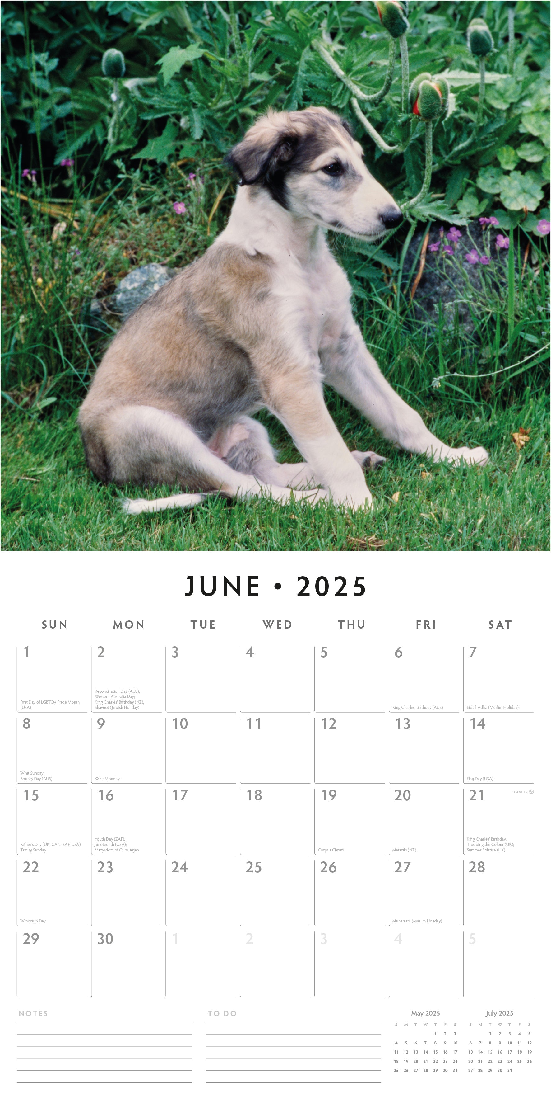 2025 Borzois - Square Wall Calendar