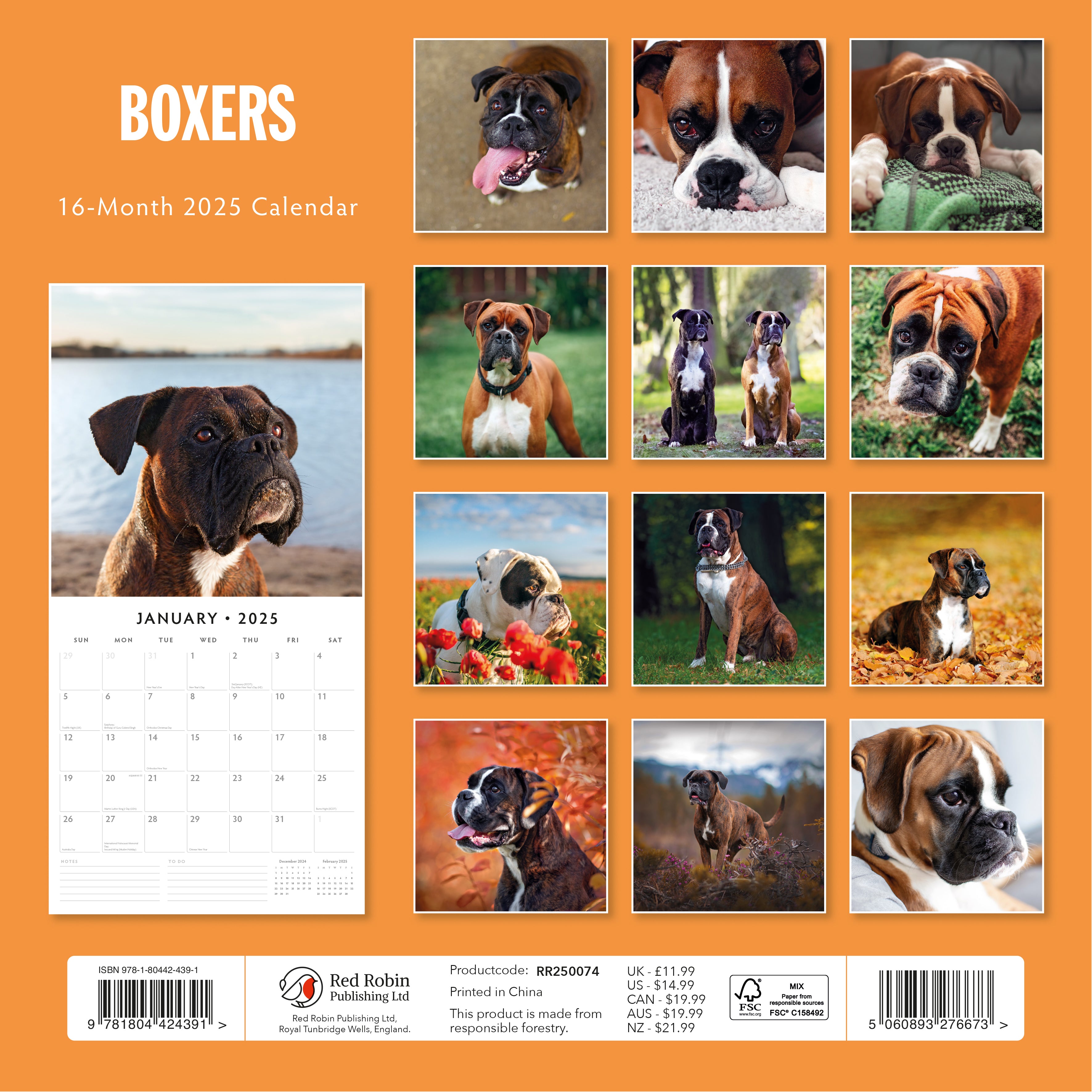 2025 Boxers - Square Wall Calendar