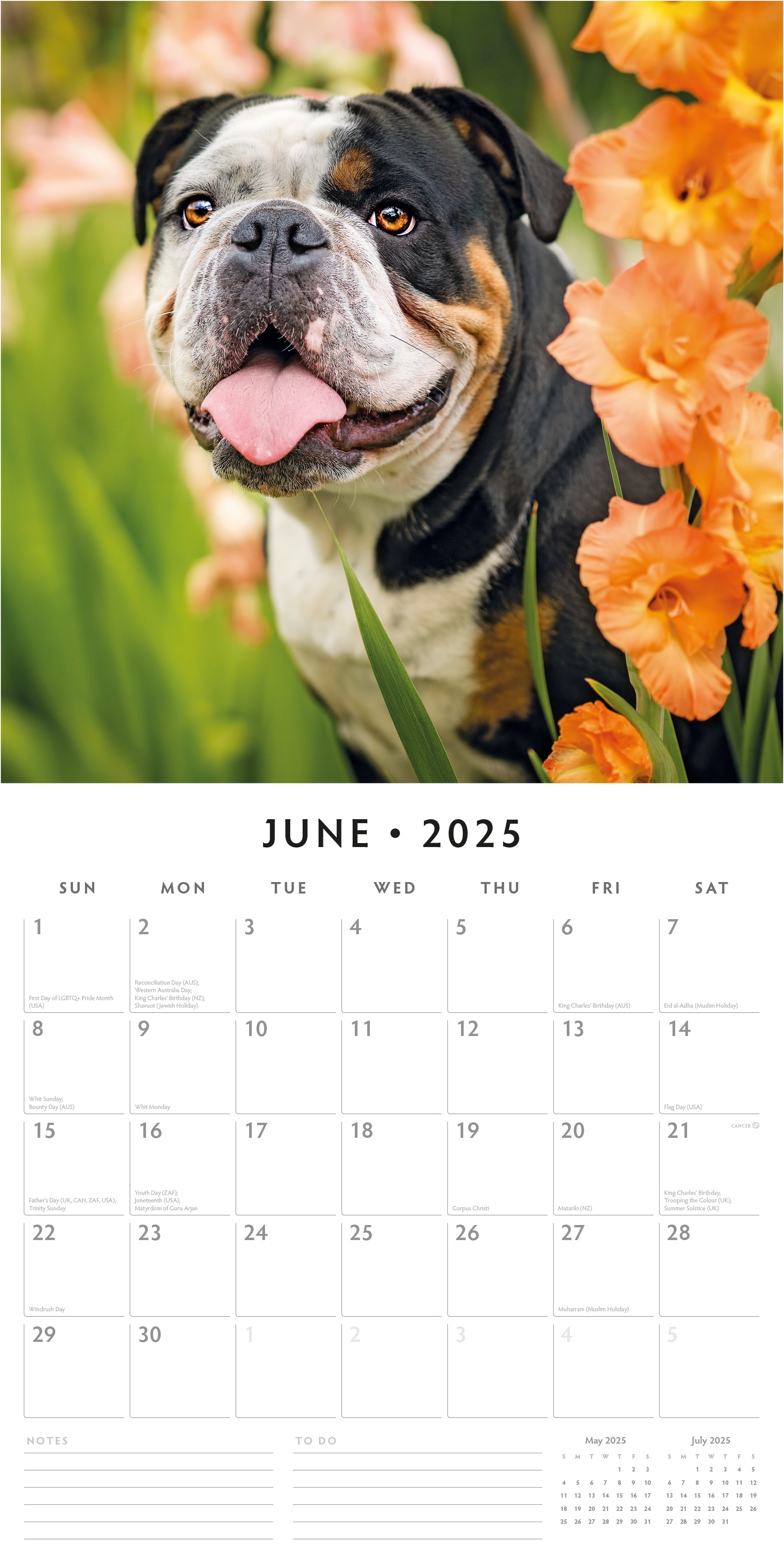 2025 Bulldogs - Square Wall Calendar