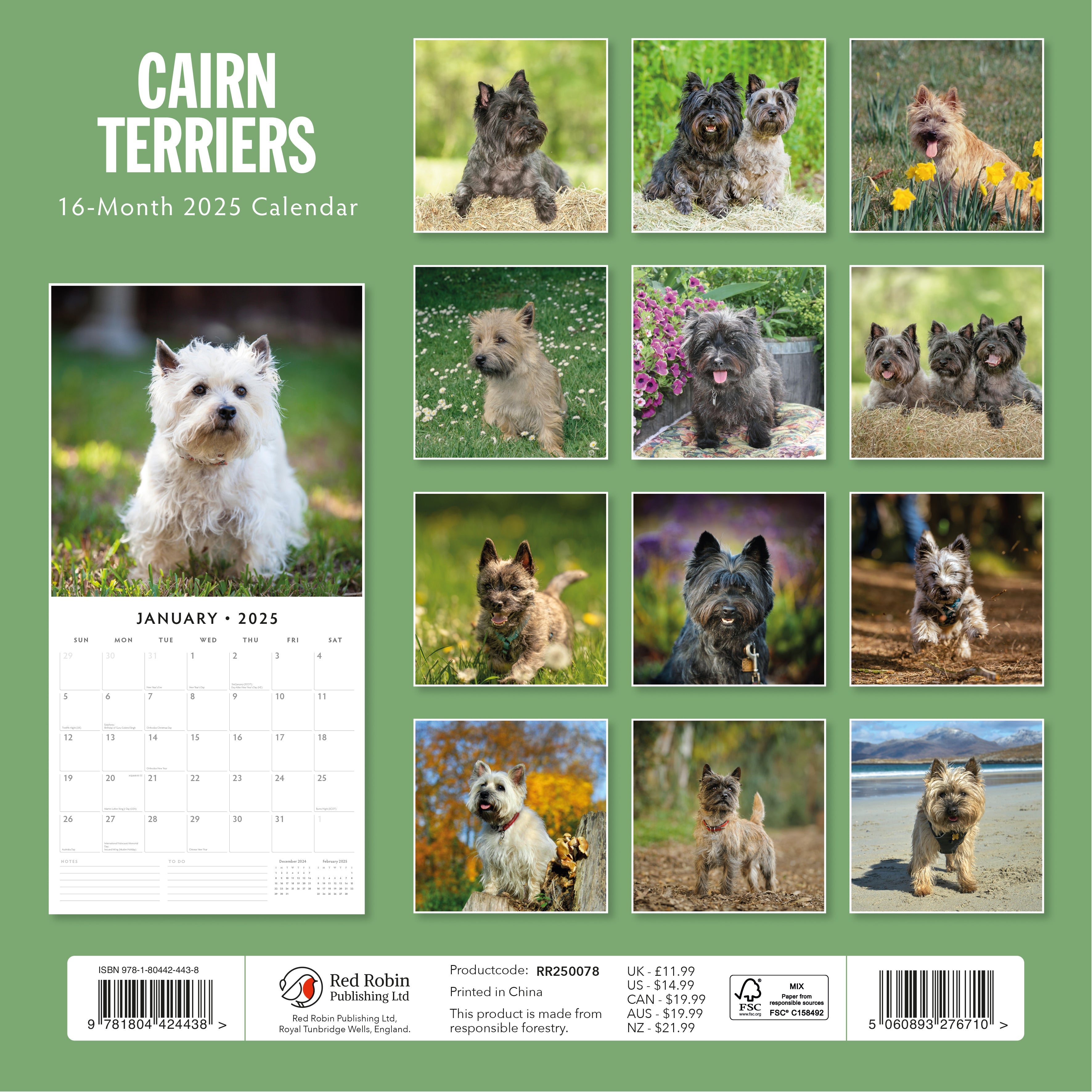 2025 Cairn Terriers - Square Wall Calendar