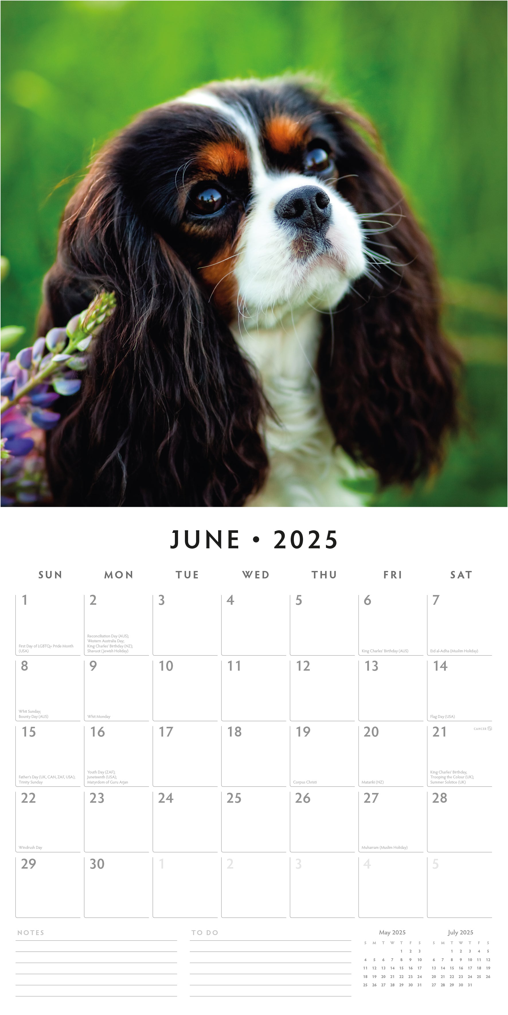 2025 Cavalier King Charles Spaniels - Square Wall Calendar