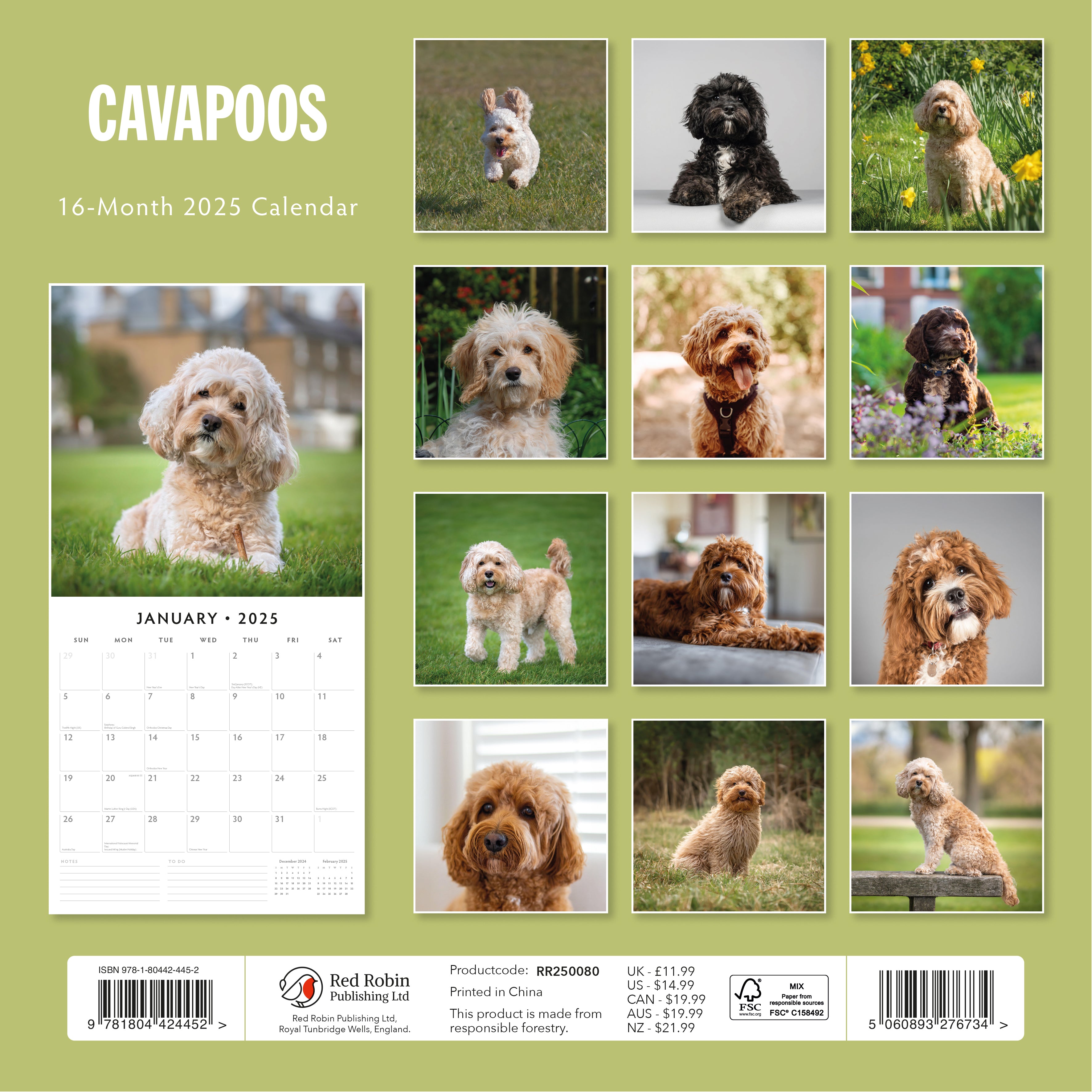 2025 Cavapoos - Square Wall Calendar