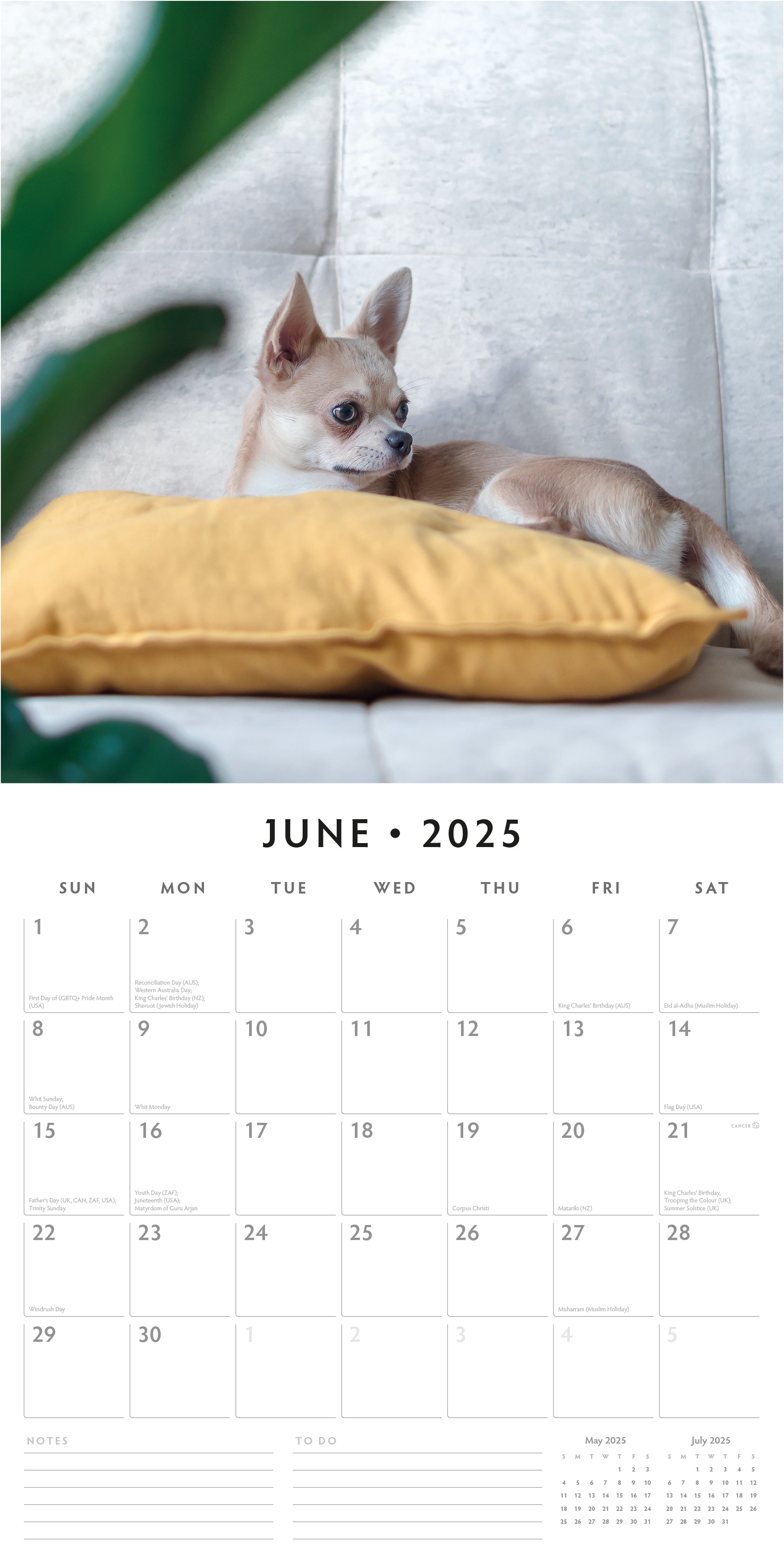 2025 Chihuahuas - Square Wall Calendar