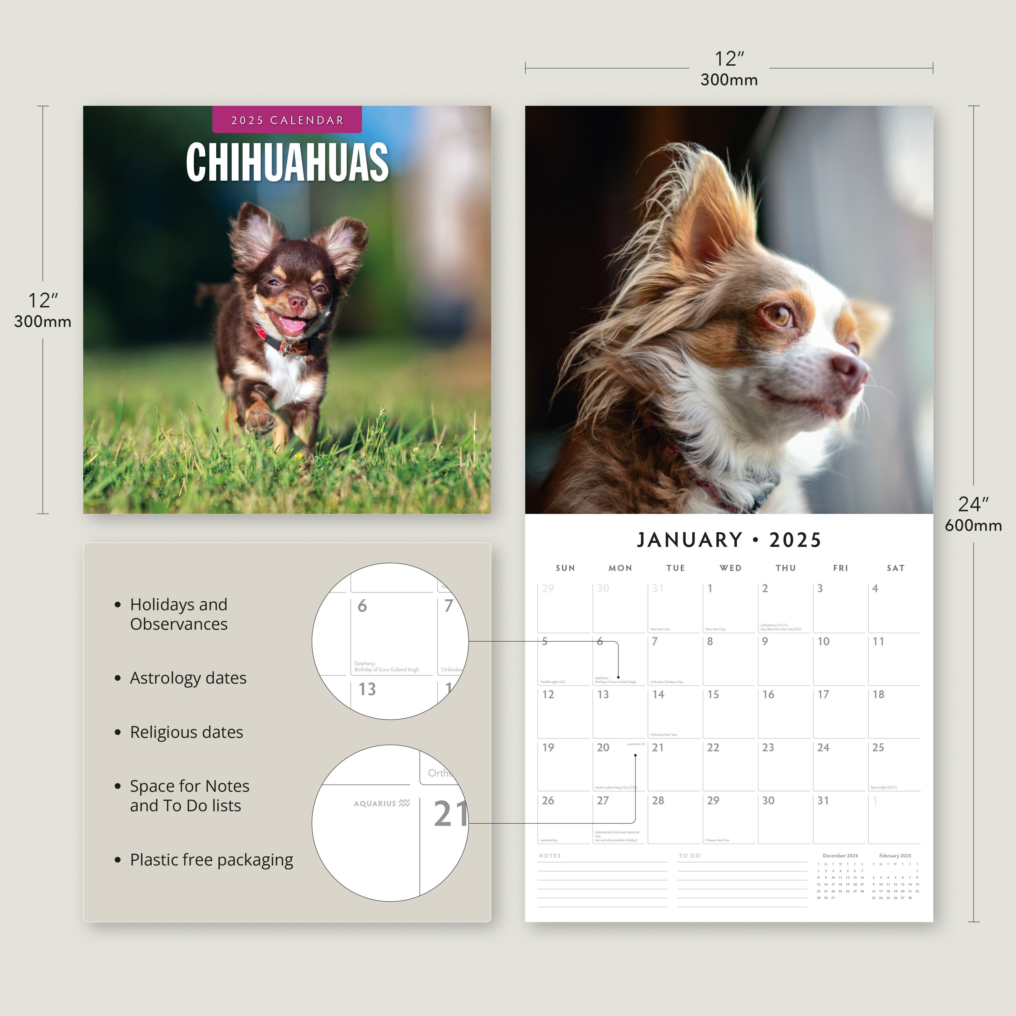 2025 Chihuahuas - Square Wall Calendar