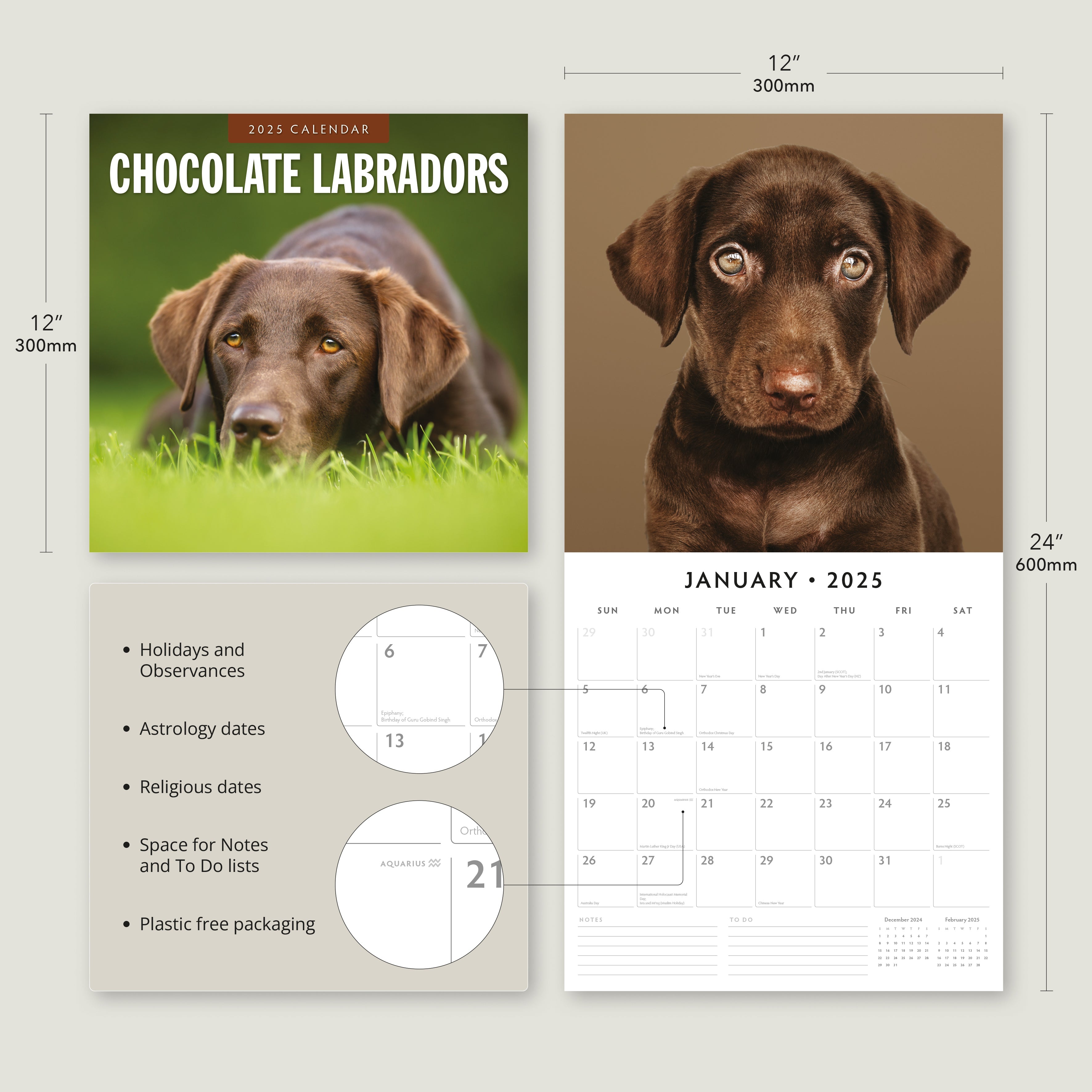 2025 Chocolate Labradors - Square Wall Calendar