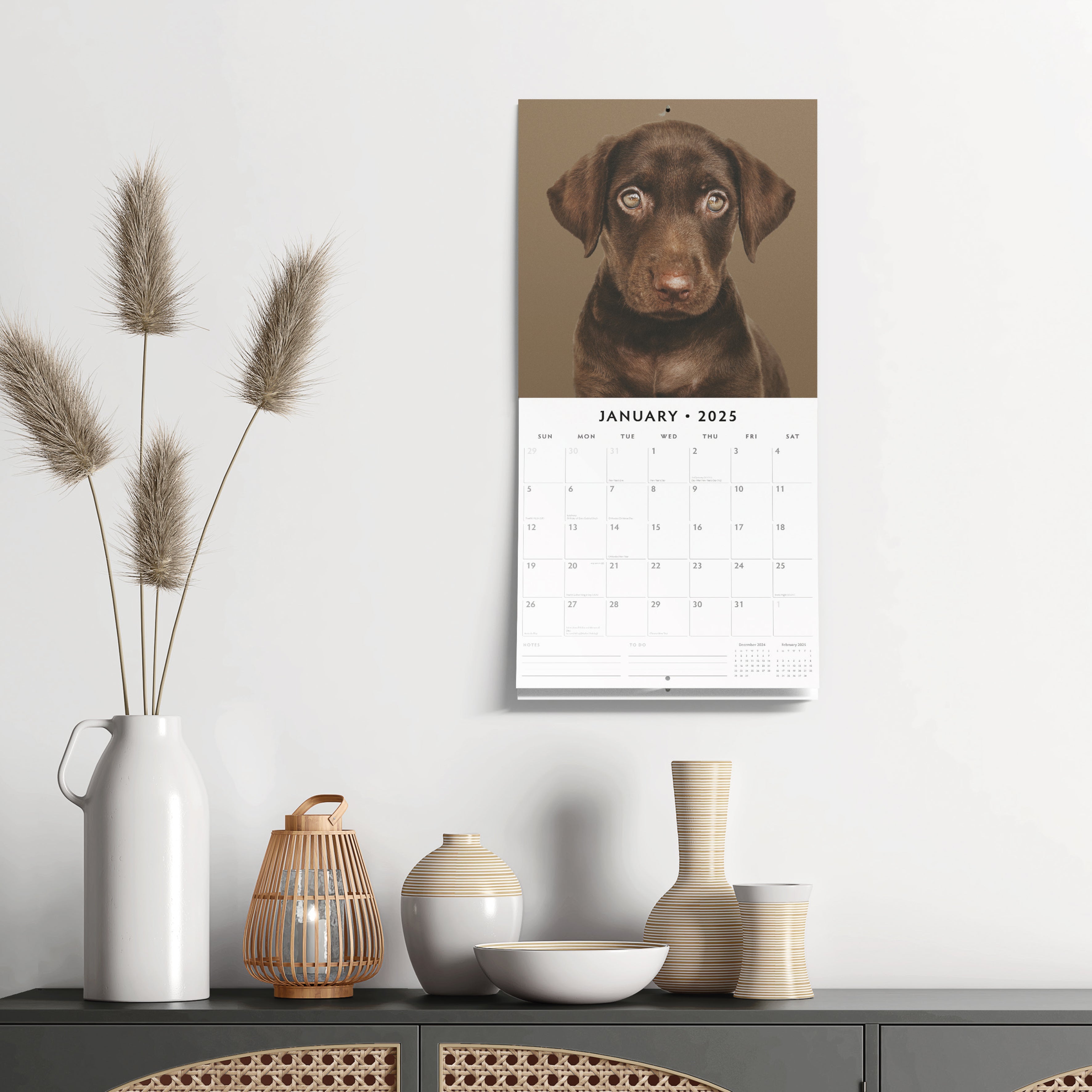 2025 Chocolate Labradors - Square Wall Calendar