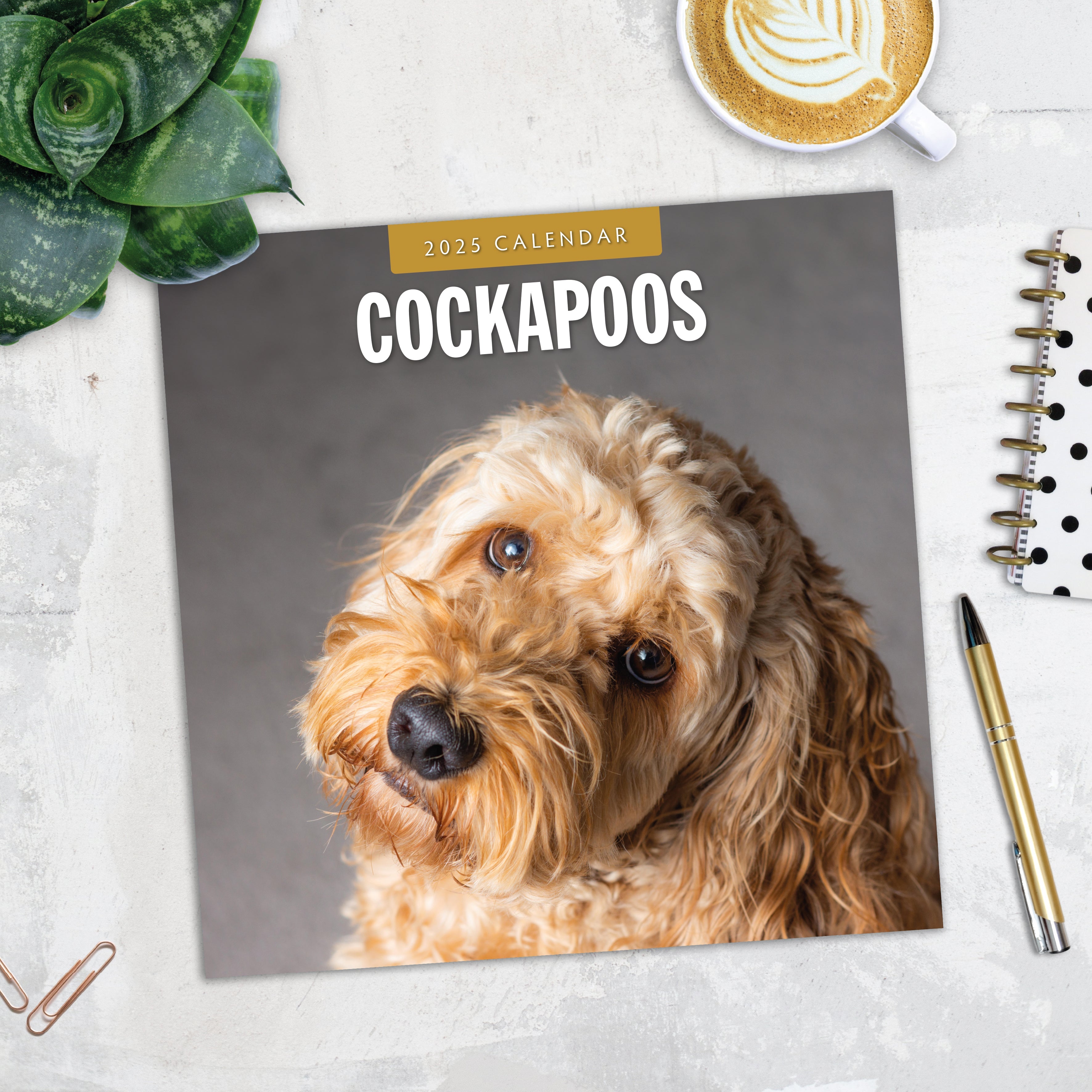 2025 Cockapoos - Square Wall Calendar