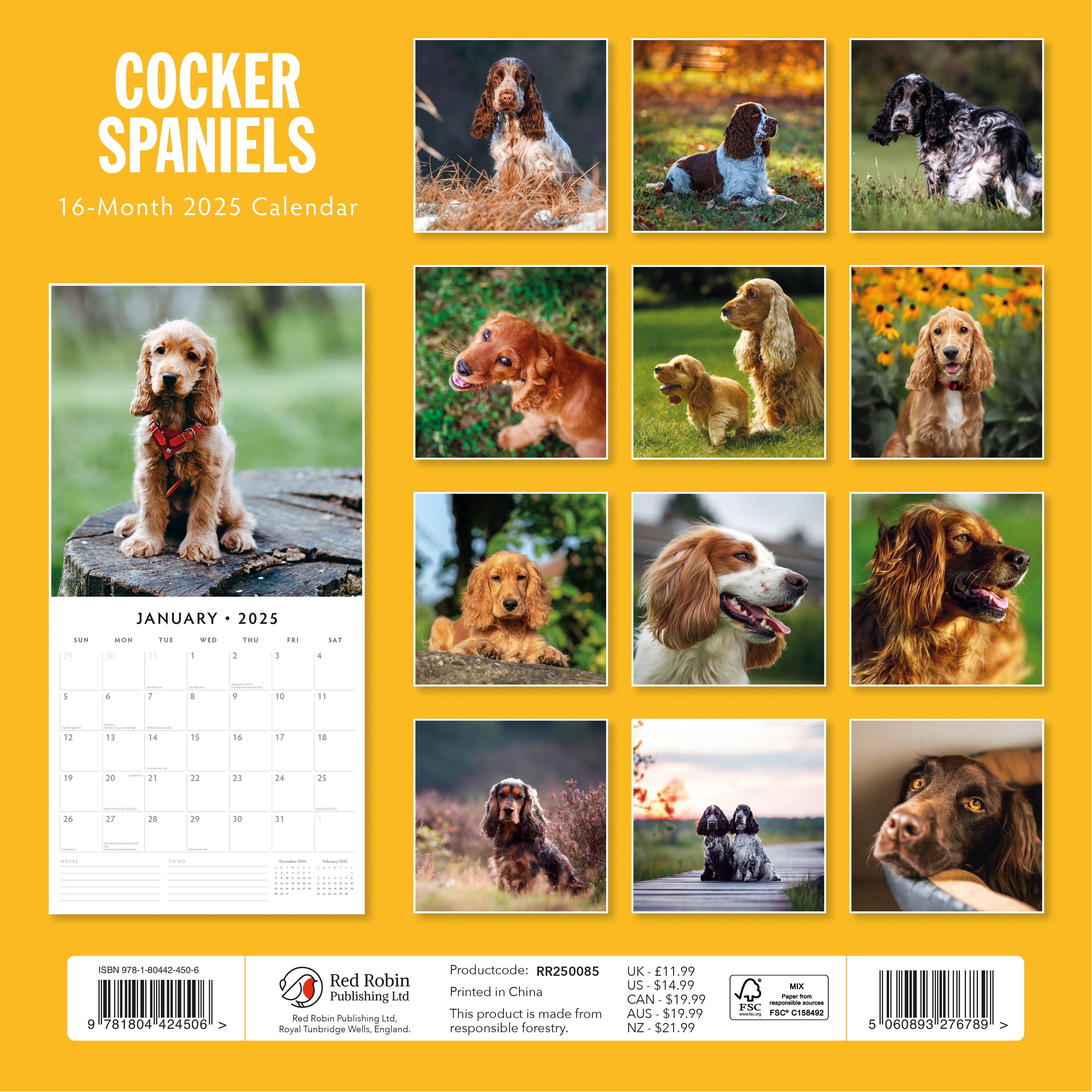 2025 Cocker Spaniels - Square Wall Calendar