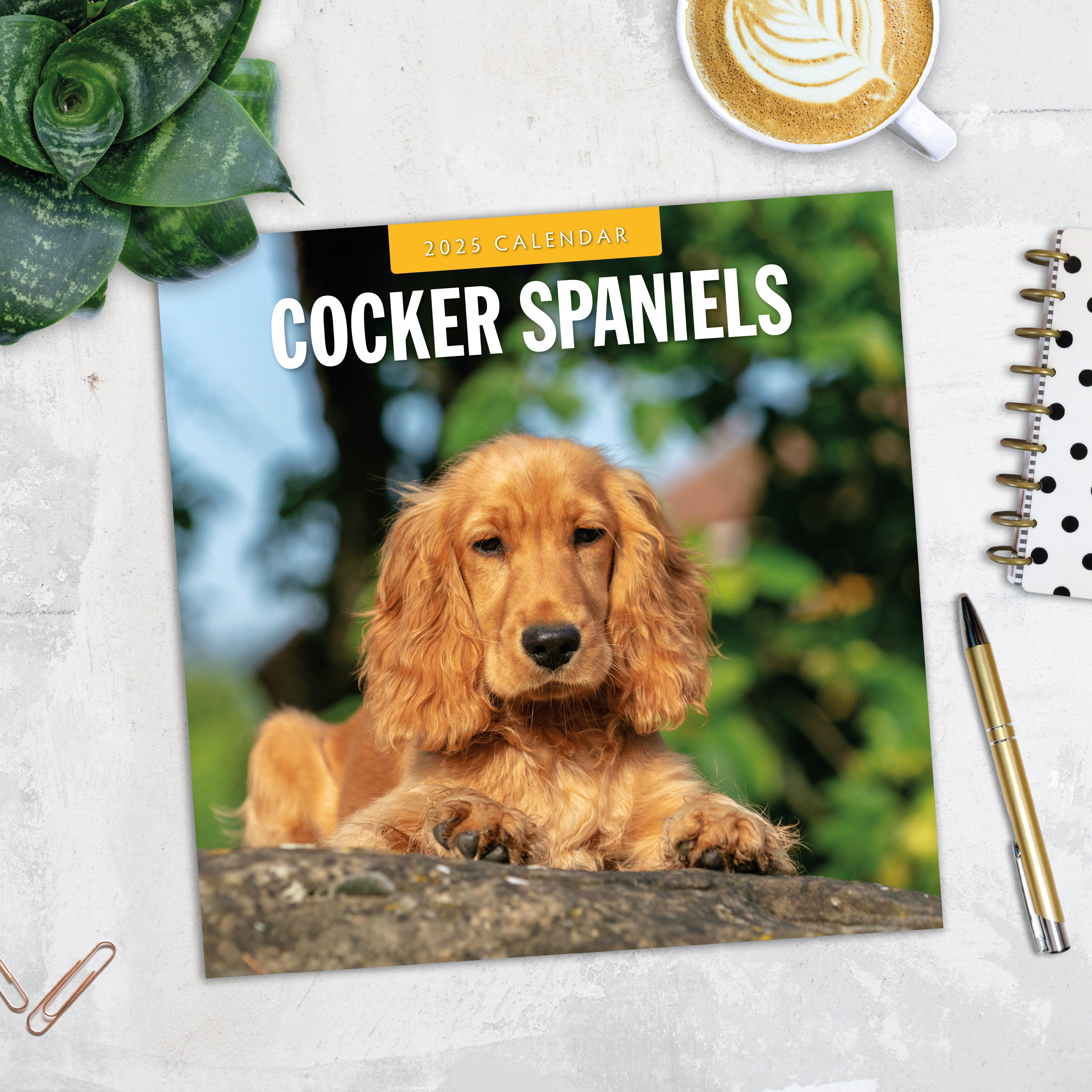 2025 Cocker Spaniels - Square Wall Calendar